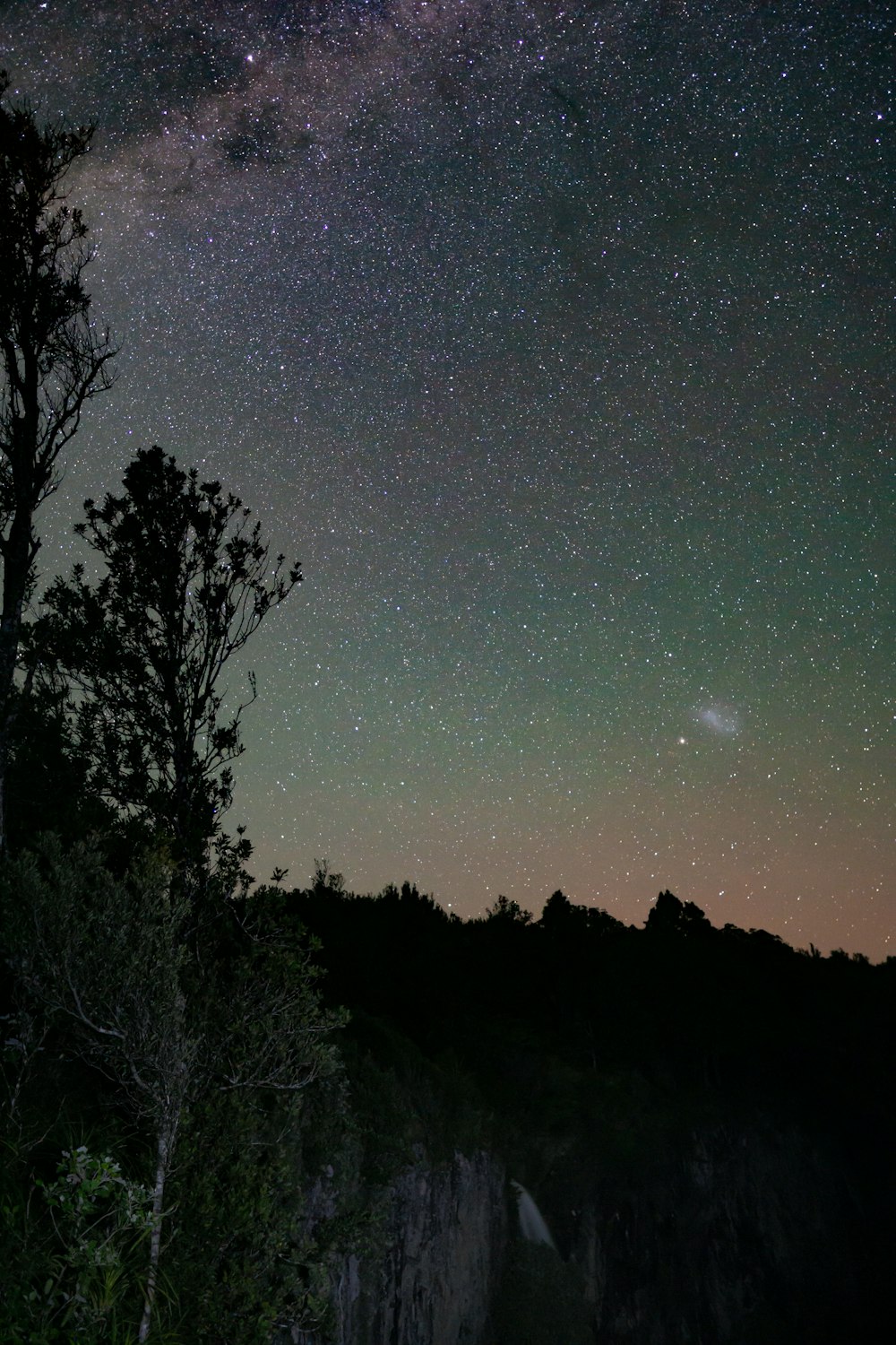 the night sky is filled with stars and trees