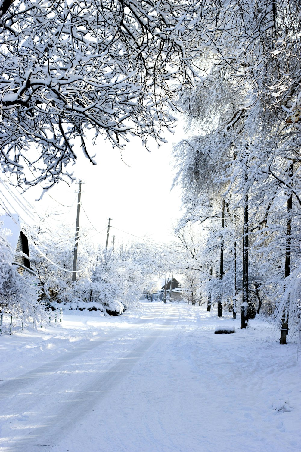 a snow covered road with trees on both sides