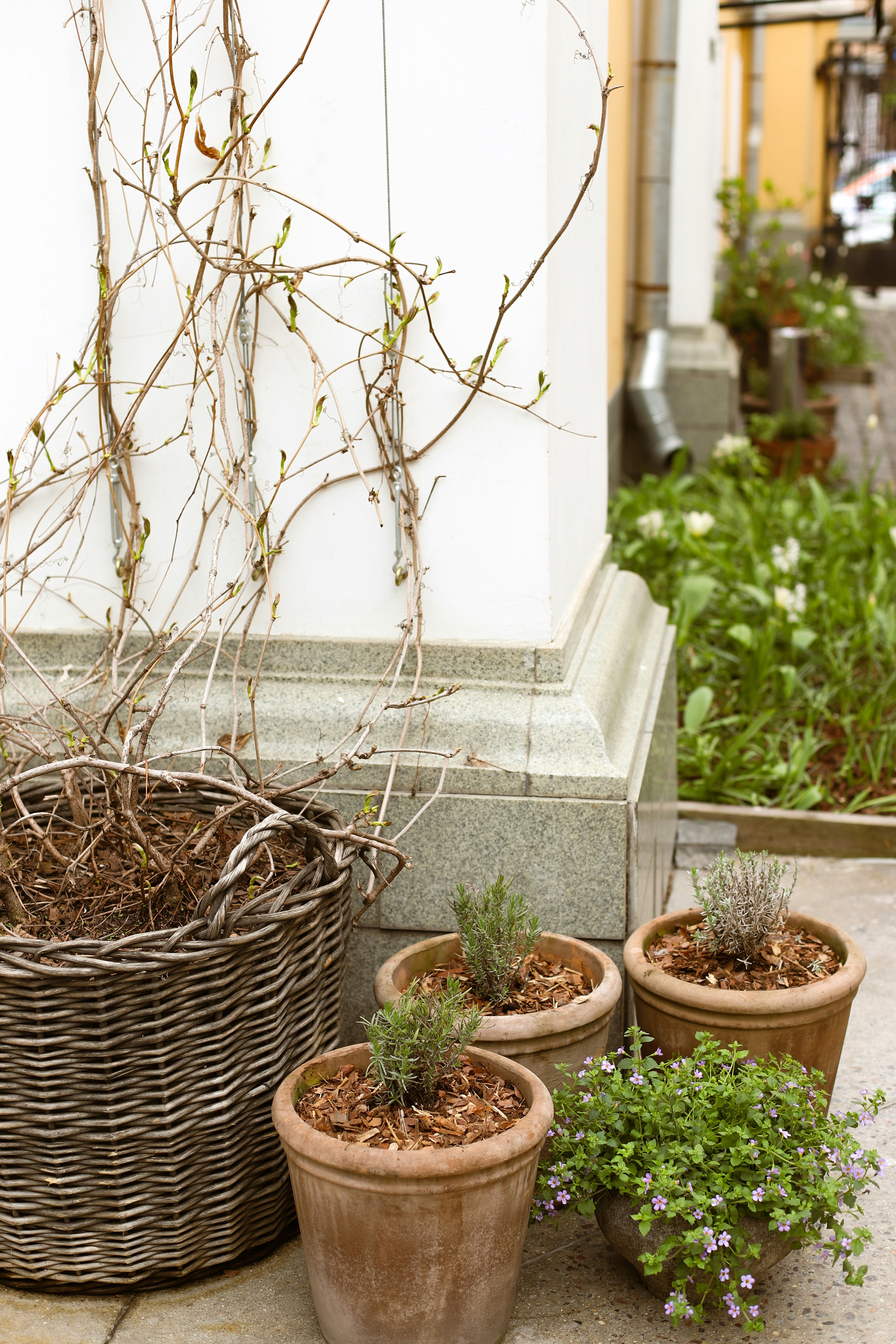 Photo by lapshinakseniia