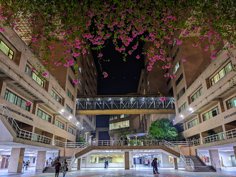 A large, modern building complex features an illuminated pedestrian bridge connecting multiple floors. The architecture is composed of light-colored brickwork, with numerous windows. Overhead, vibrant pink flowers dangle, adding a touch of natural beauty. People can be seen walking in the courtyard below, adding a sense of scale and activity.