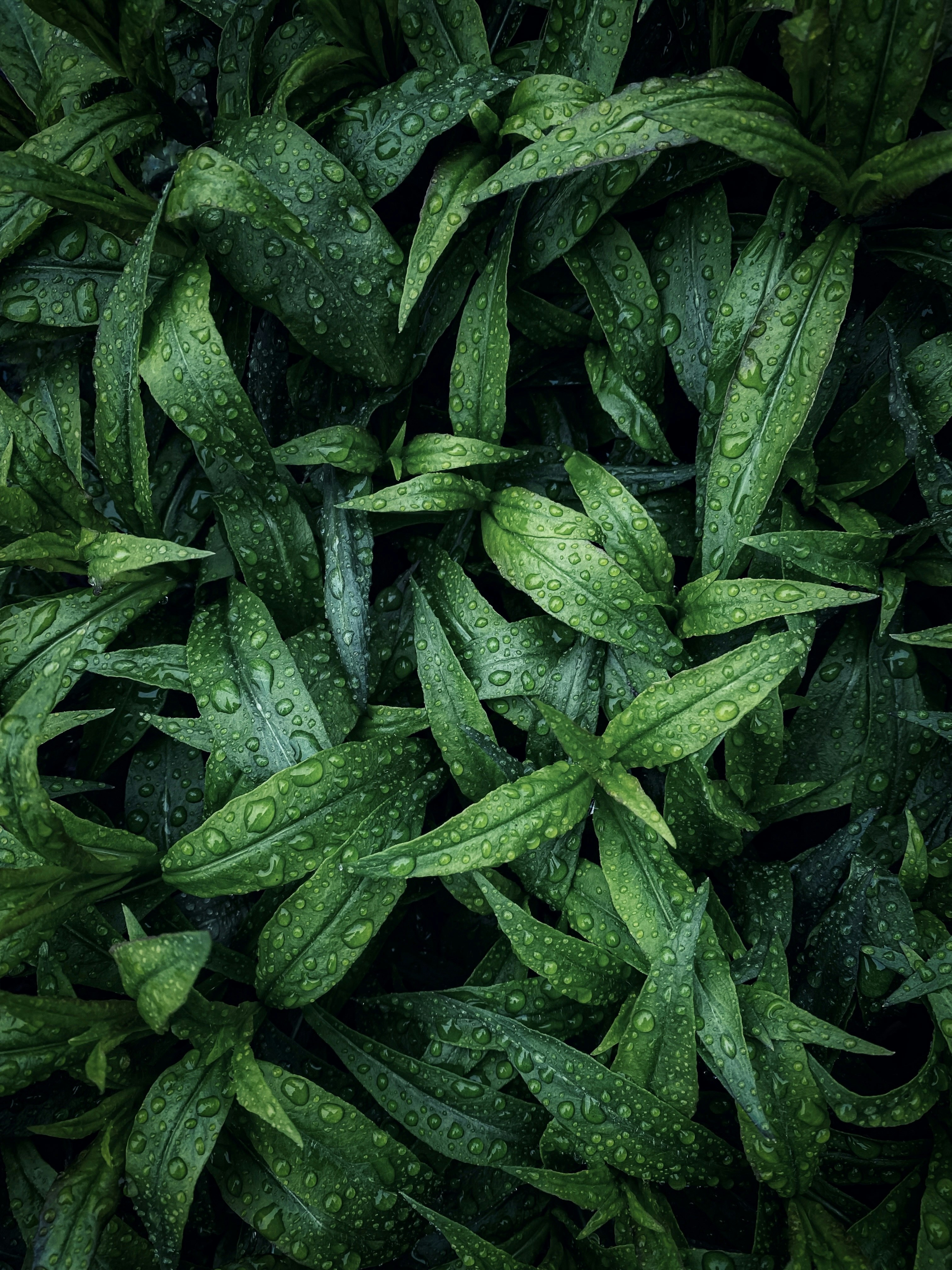 Photo by eugene_golovesov