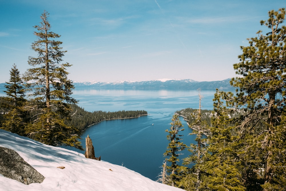 a view of a body of water surrounded by trees