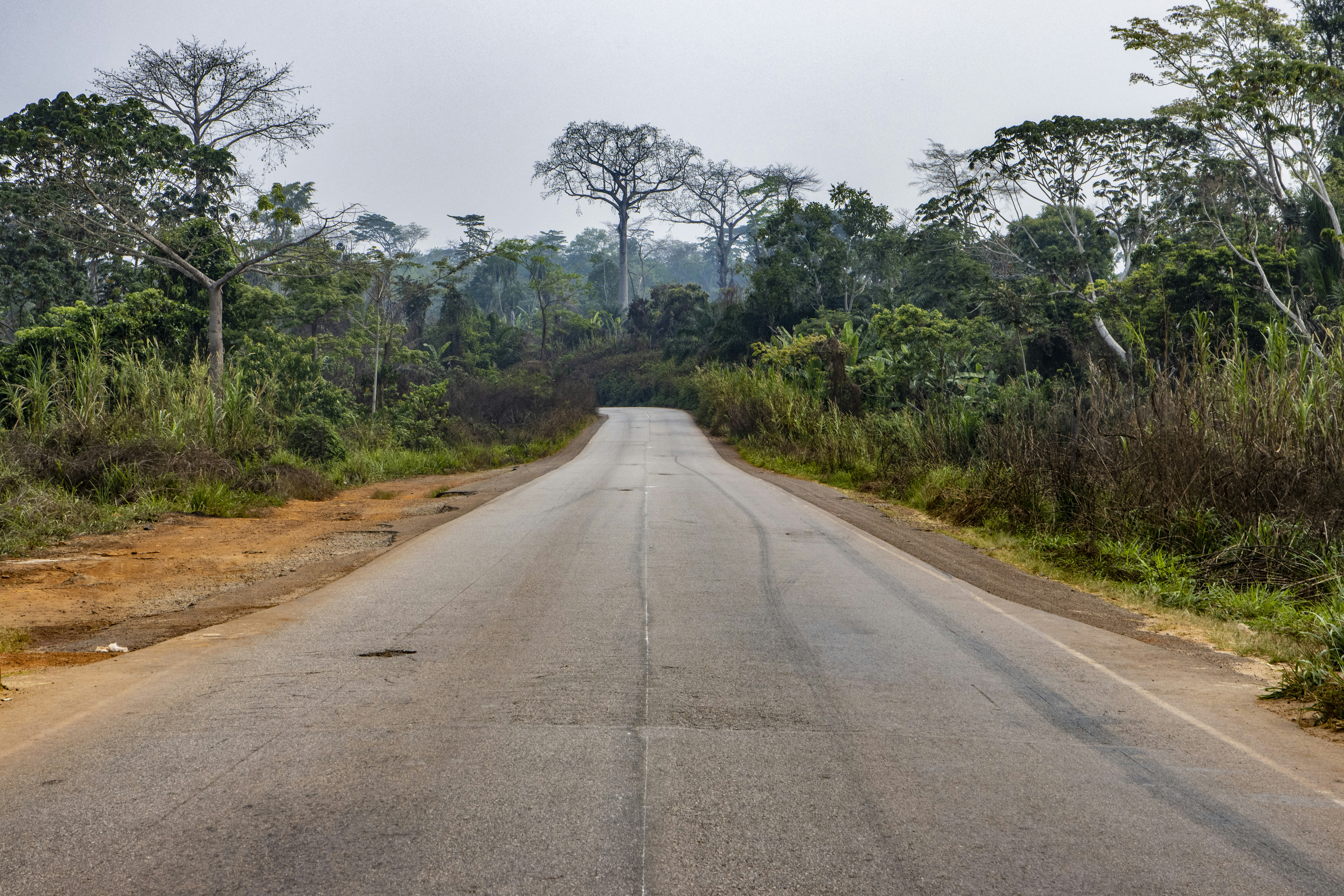 Stay online in the Cameroon with a prepaid eSIM from eSIMlii. Instant activation, no roaming charges, and reliable coverage.