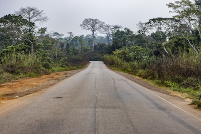 an empty road in the middle of a jungle