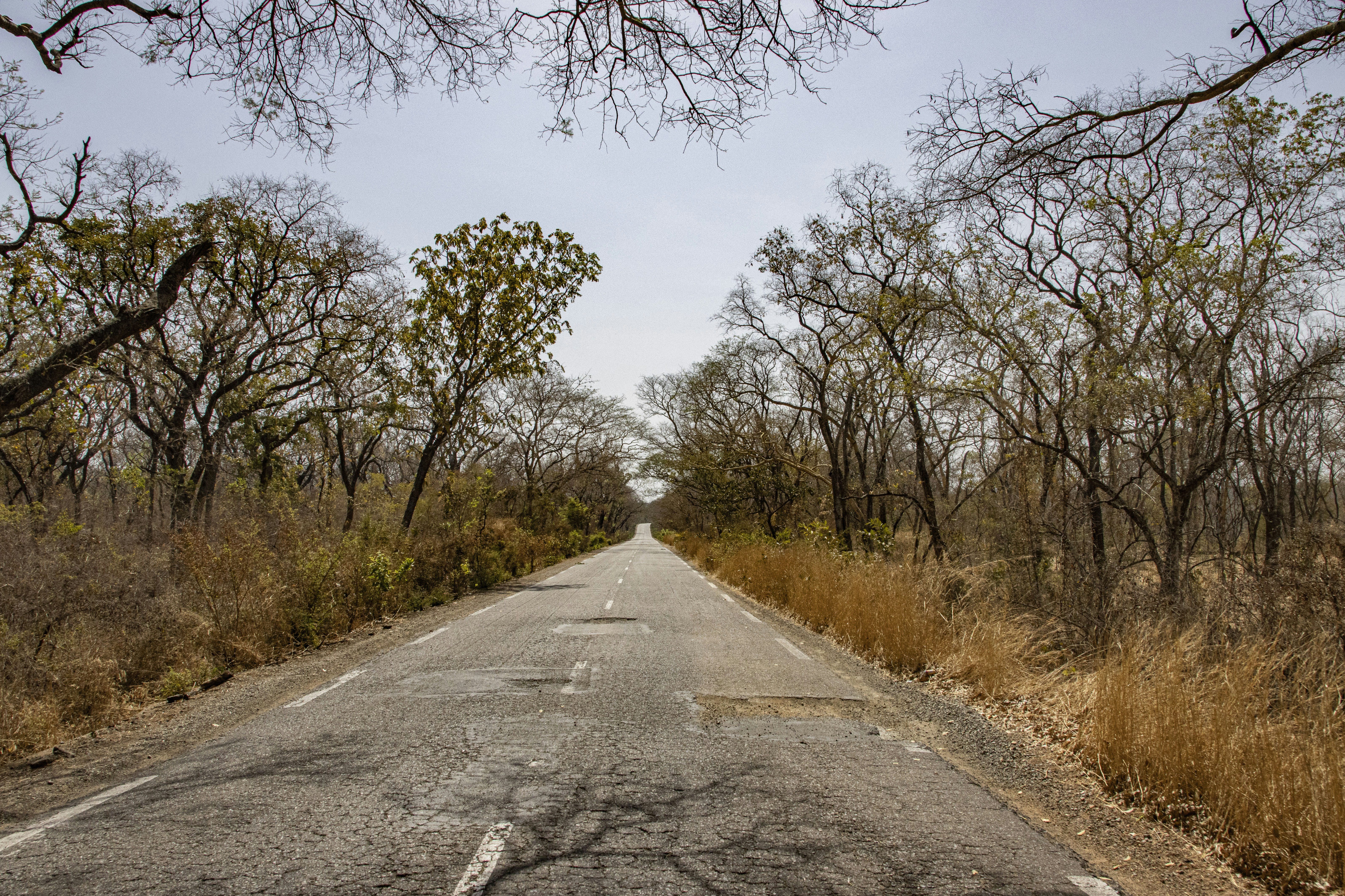 Photo by jddartphotographer