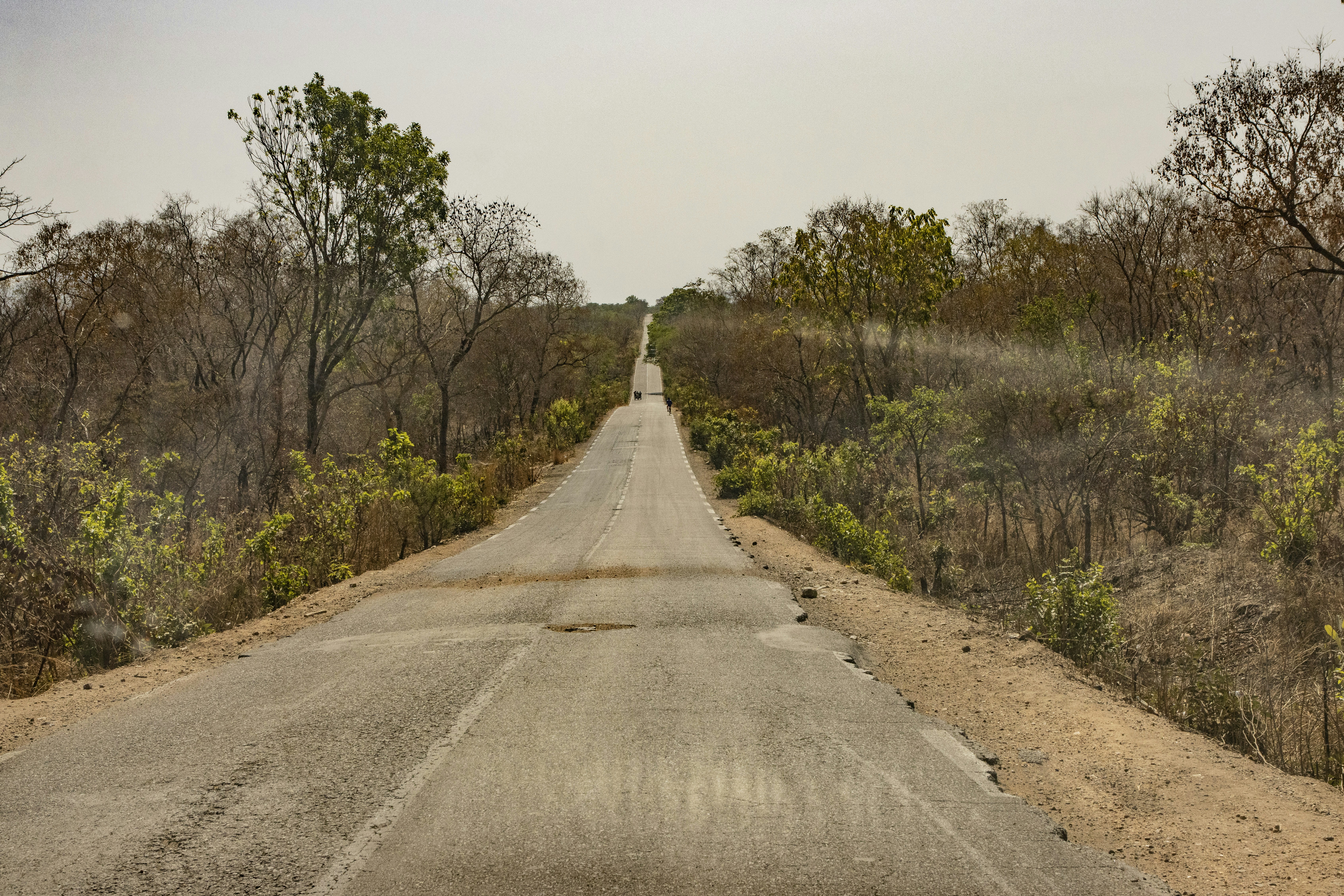 舗装の乏しい道路