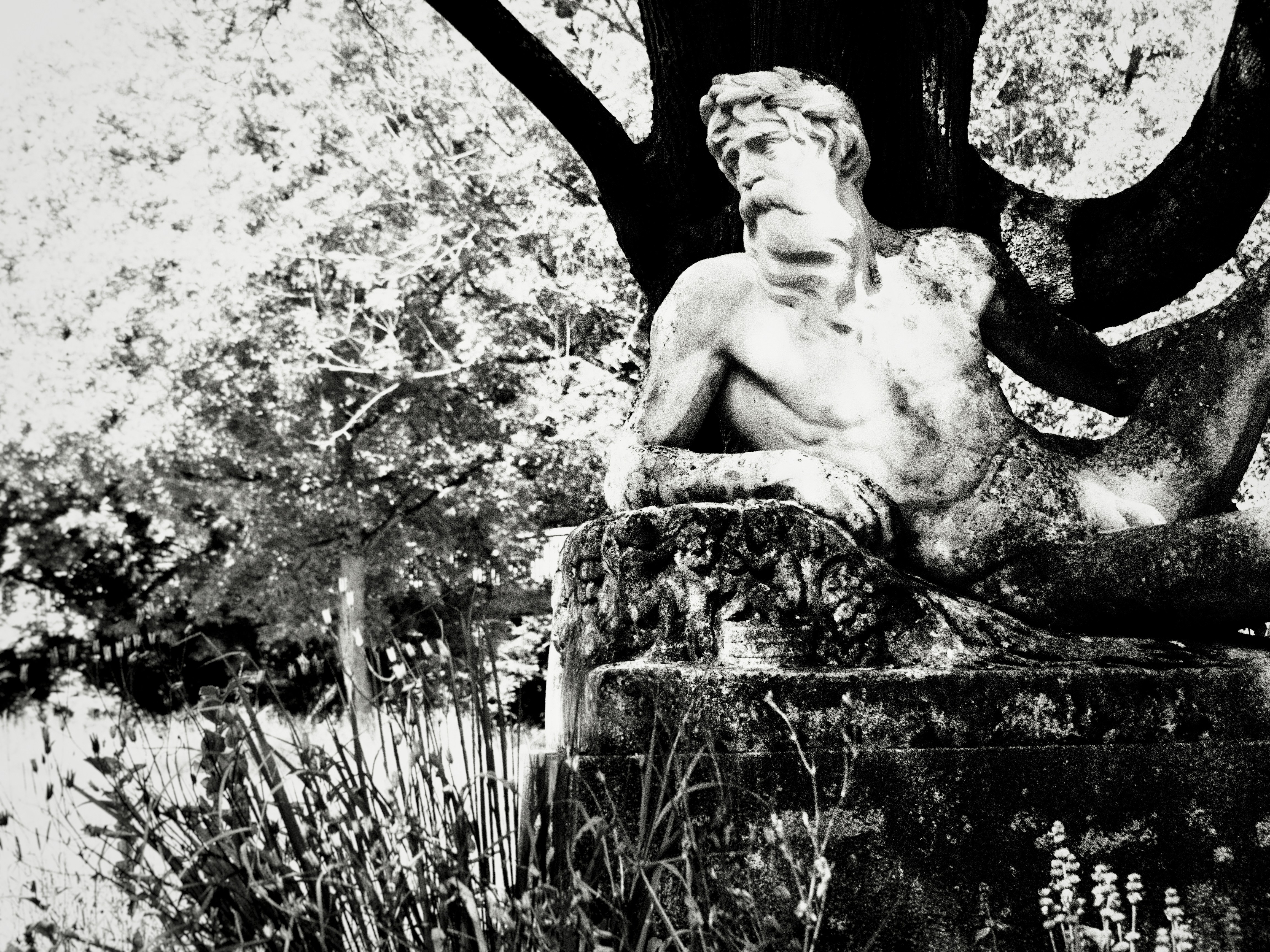 a statue of a man sitting under a tree