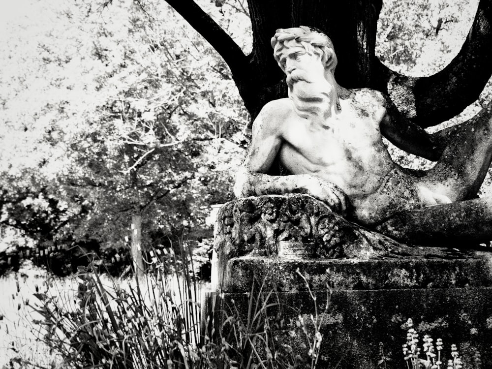 uma estátua de um homem sentado sob uma árvore