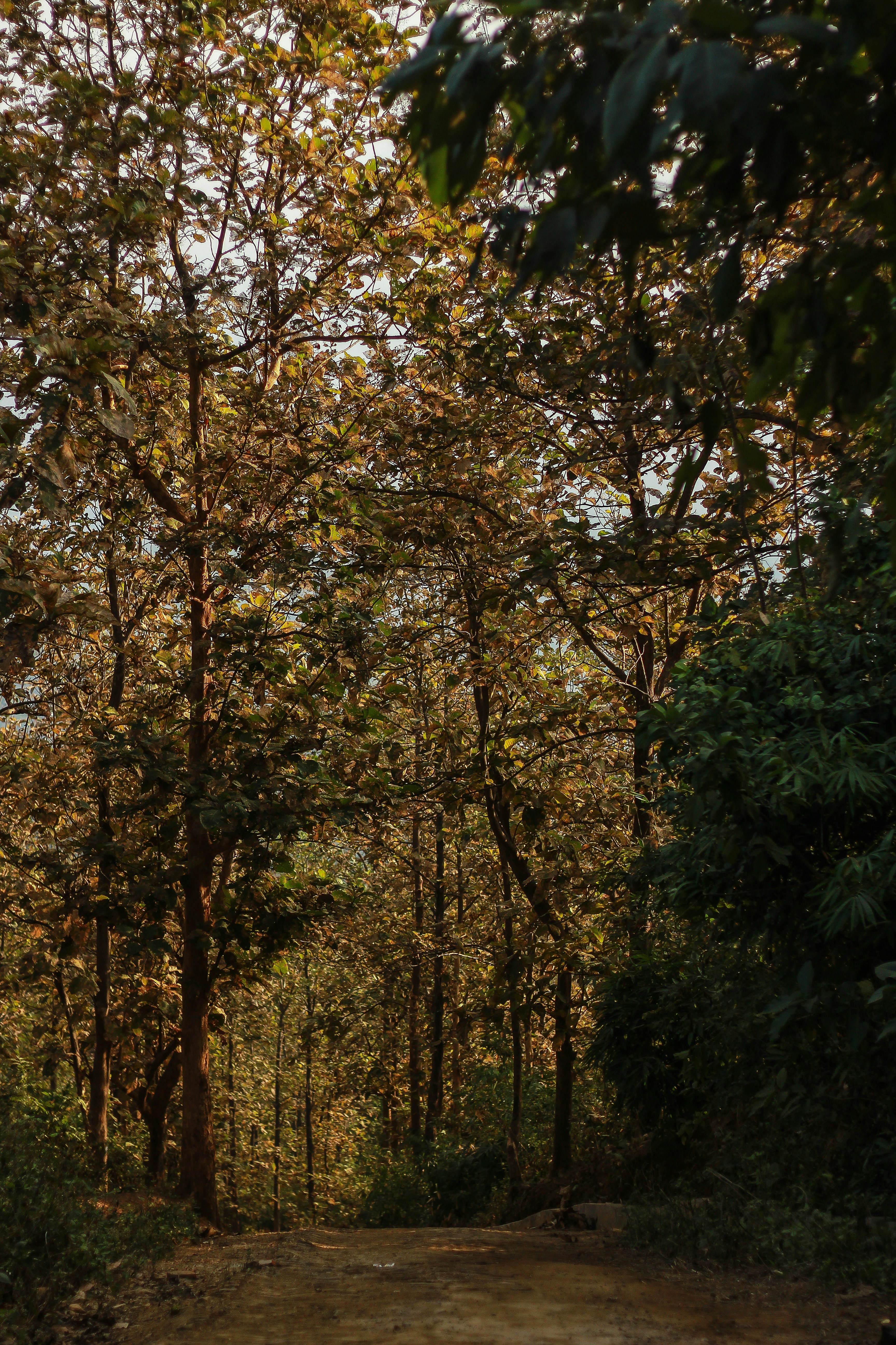 Photo by munnasheikh1