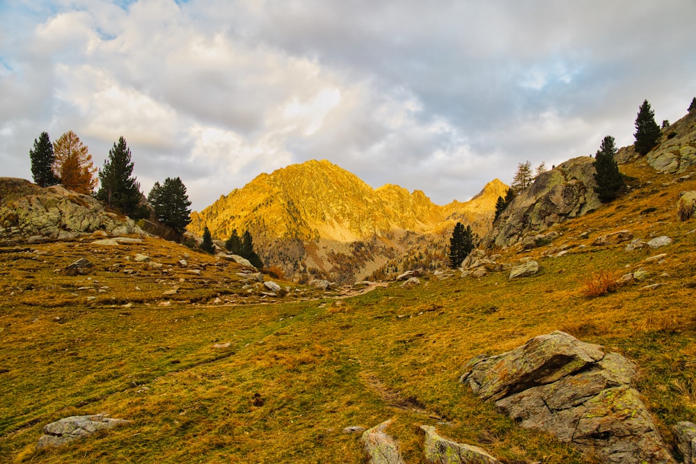 a grassy field with a mountain in the background