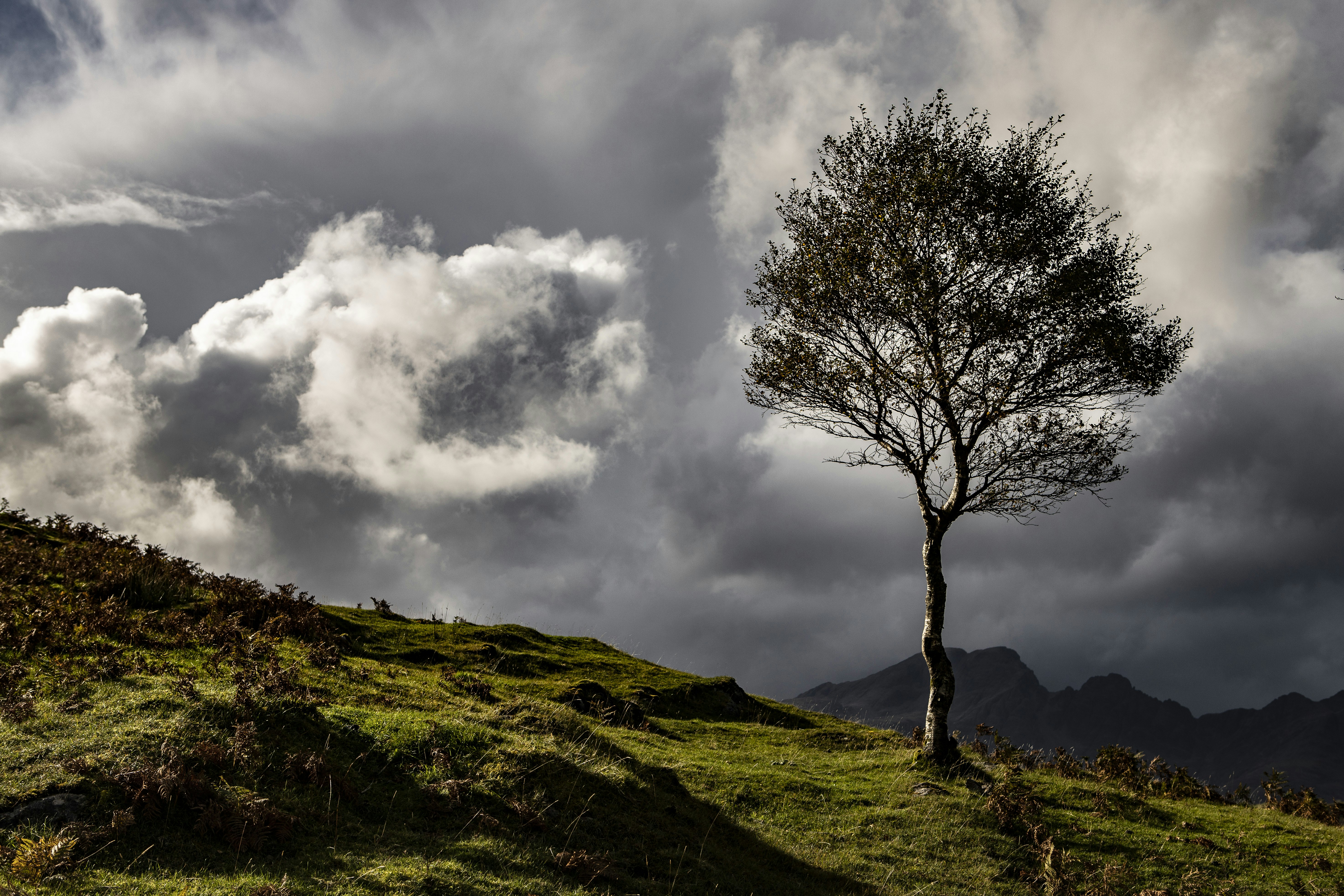 Photo by jddartphotographer