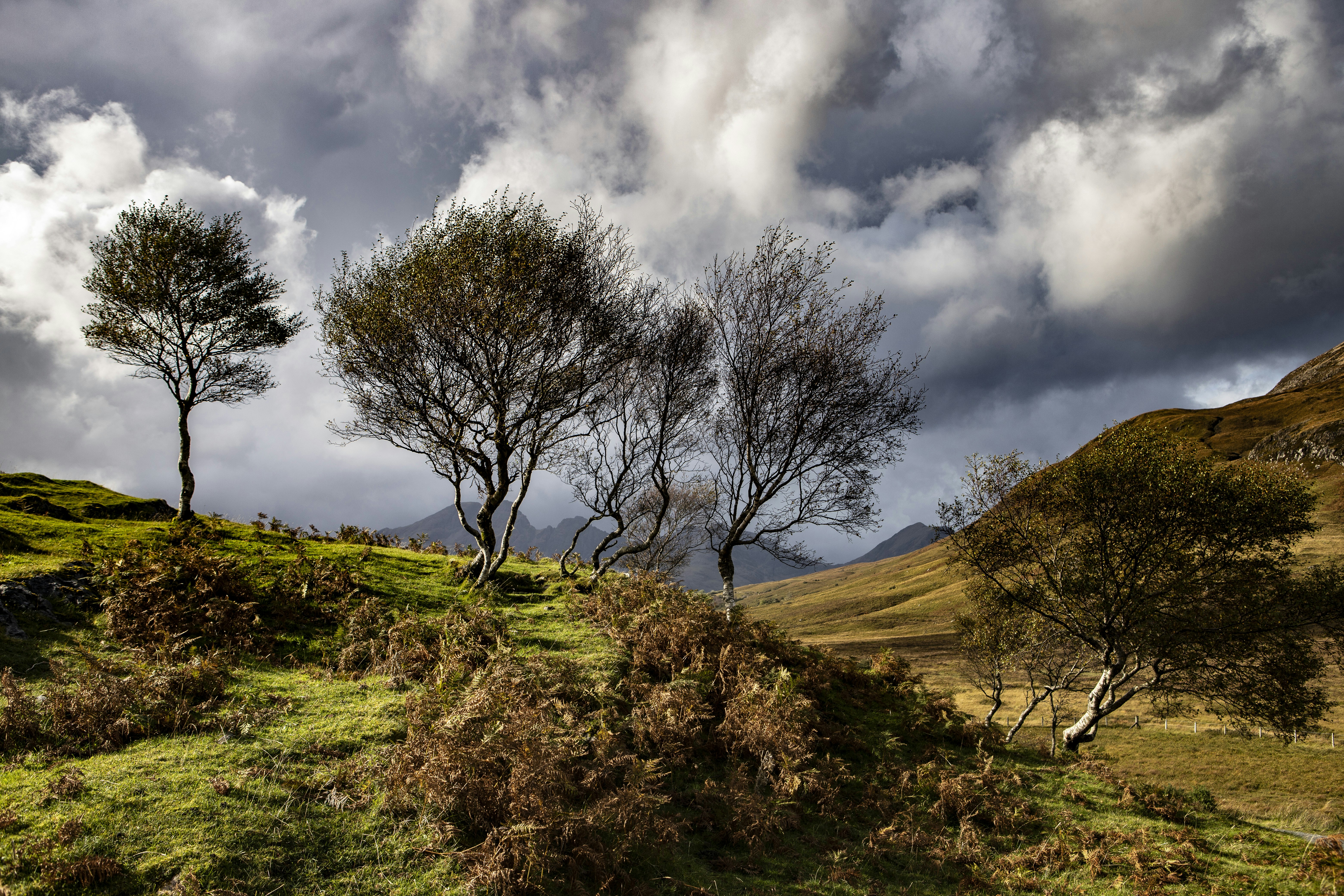 Photo by jddartphotographer