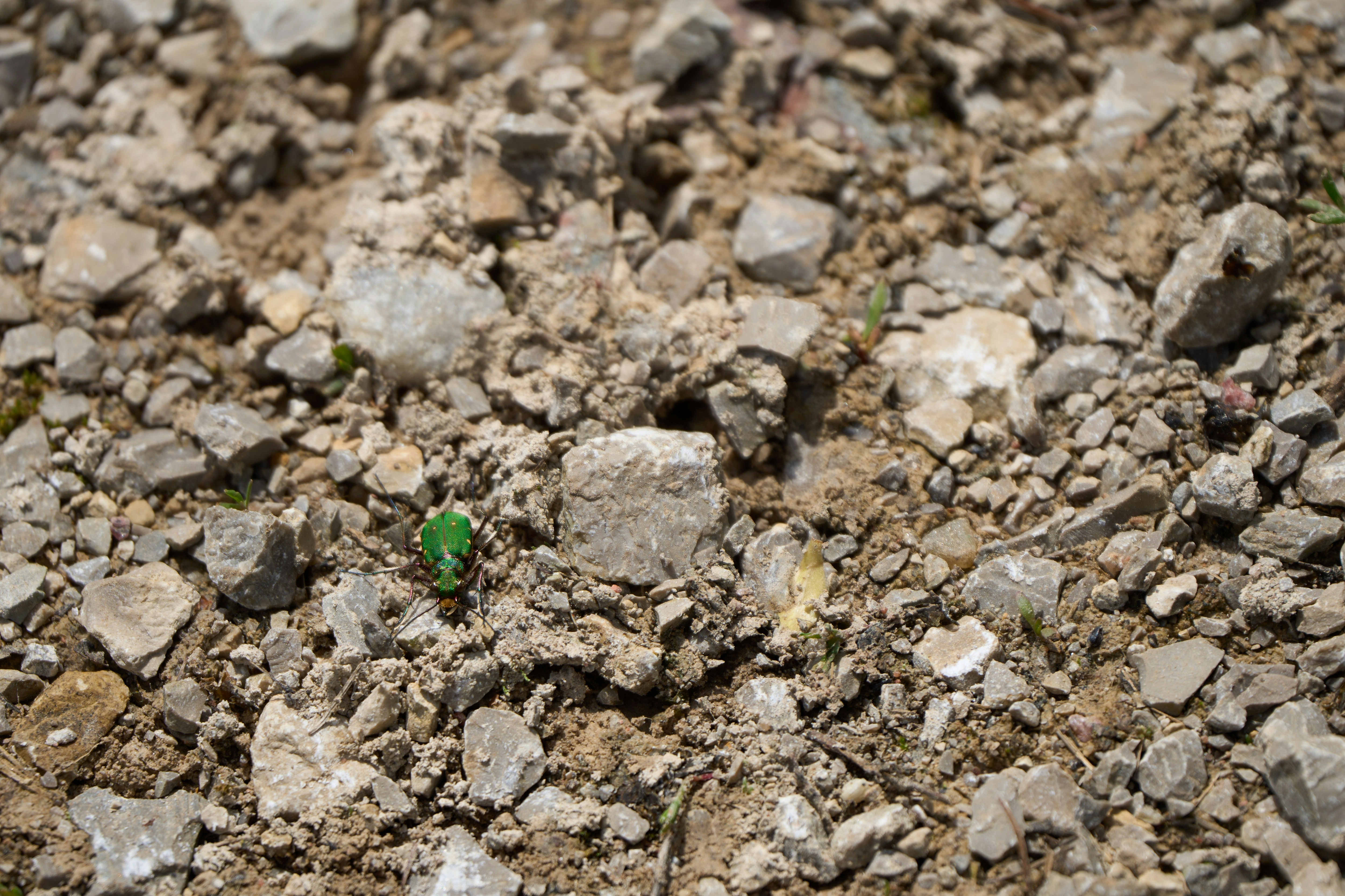 Photo by wolfgang_hasselmann