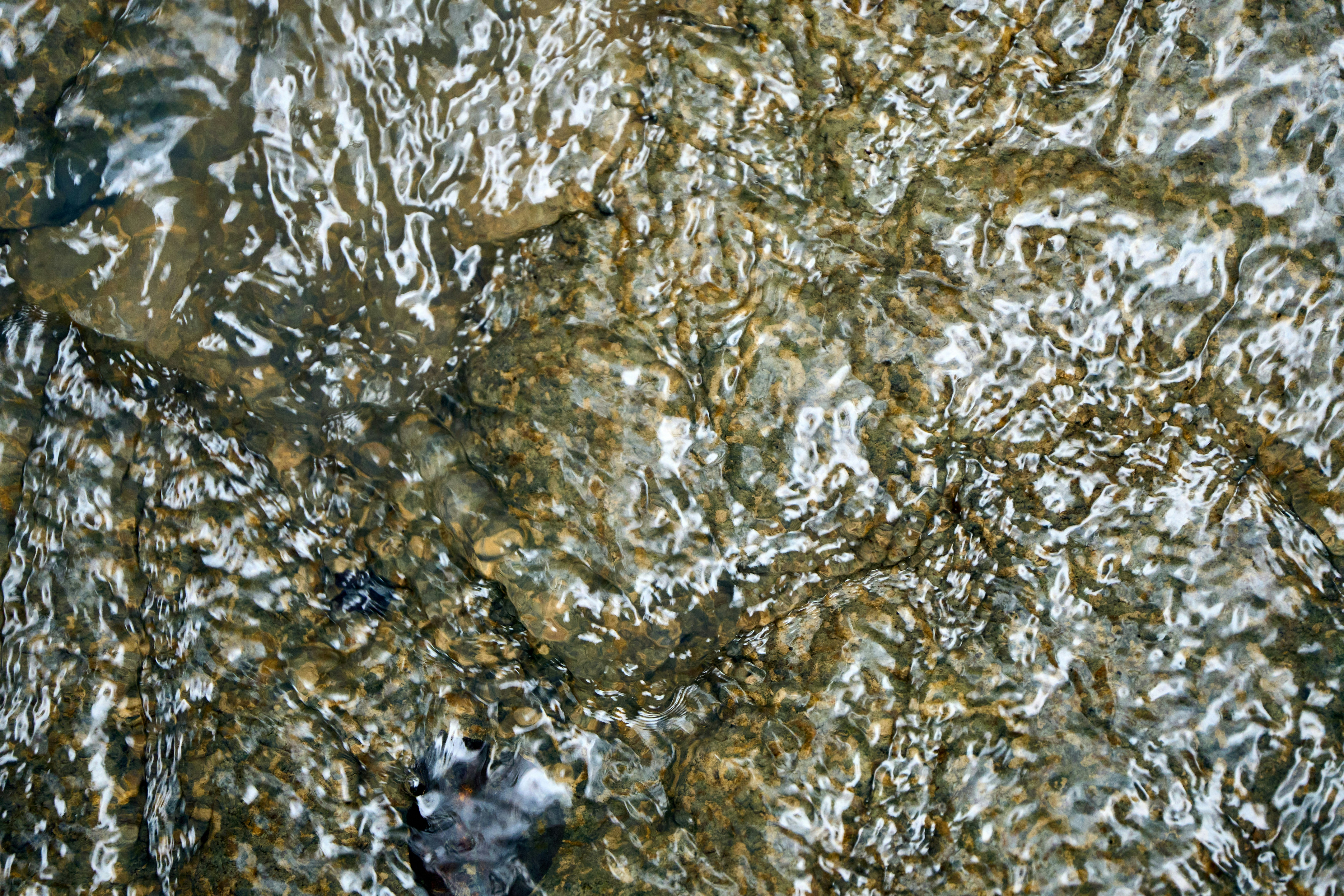 Photo by wolfgang_hasselmann