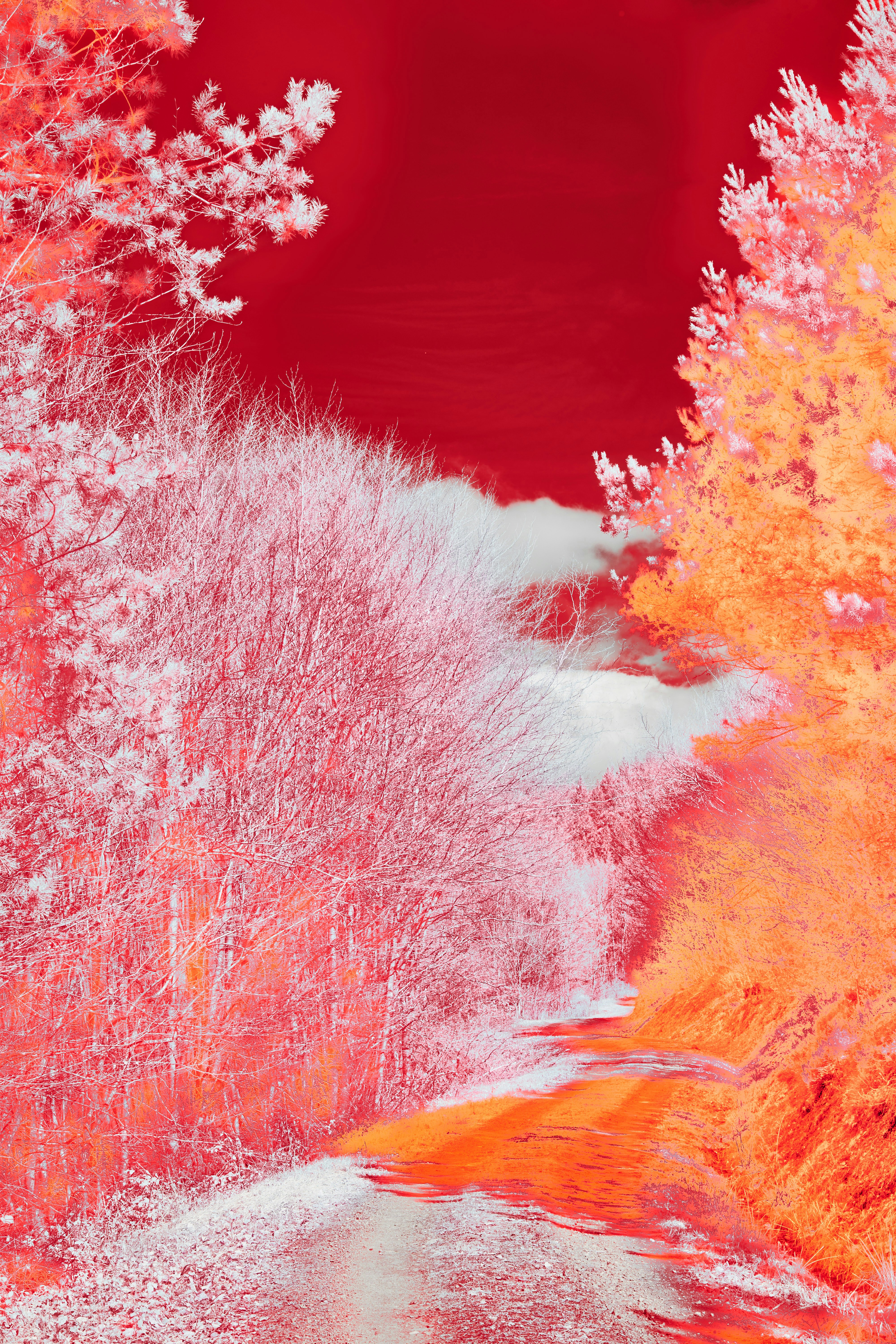 Photo by wolfgang_hasselmann