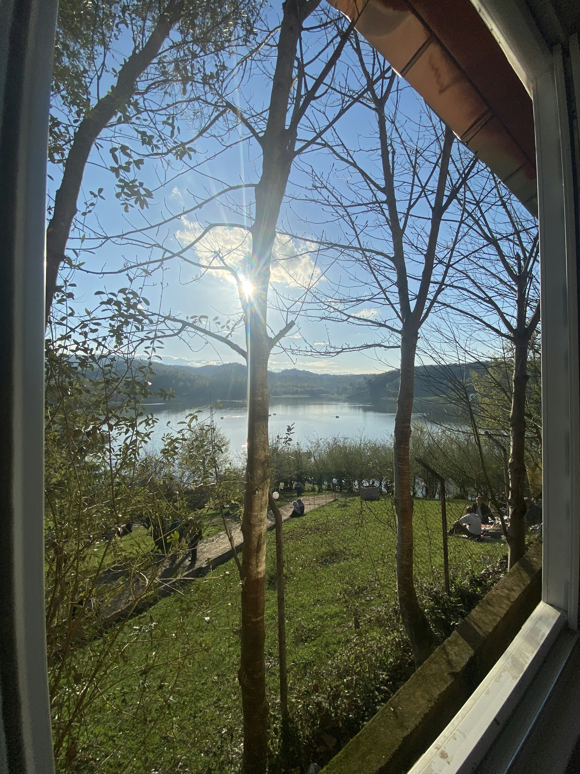 An inviting snapshot of a serene outdoor scene, perfect for sharing peaceful moments with friends and family.