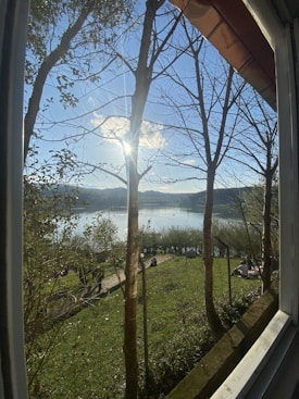 The image captures a tranquil outdoor scene viewed through a window frame. Sunlight beams through bare tree branches, creating a soft glow. Beyond the trees, there is a serene lake reflecting the bright sky and scattered clouds. The foreground features a grassy area with a pathway, and people can be seen sitting and enjoying the ambiance.