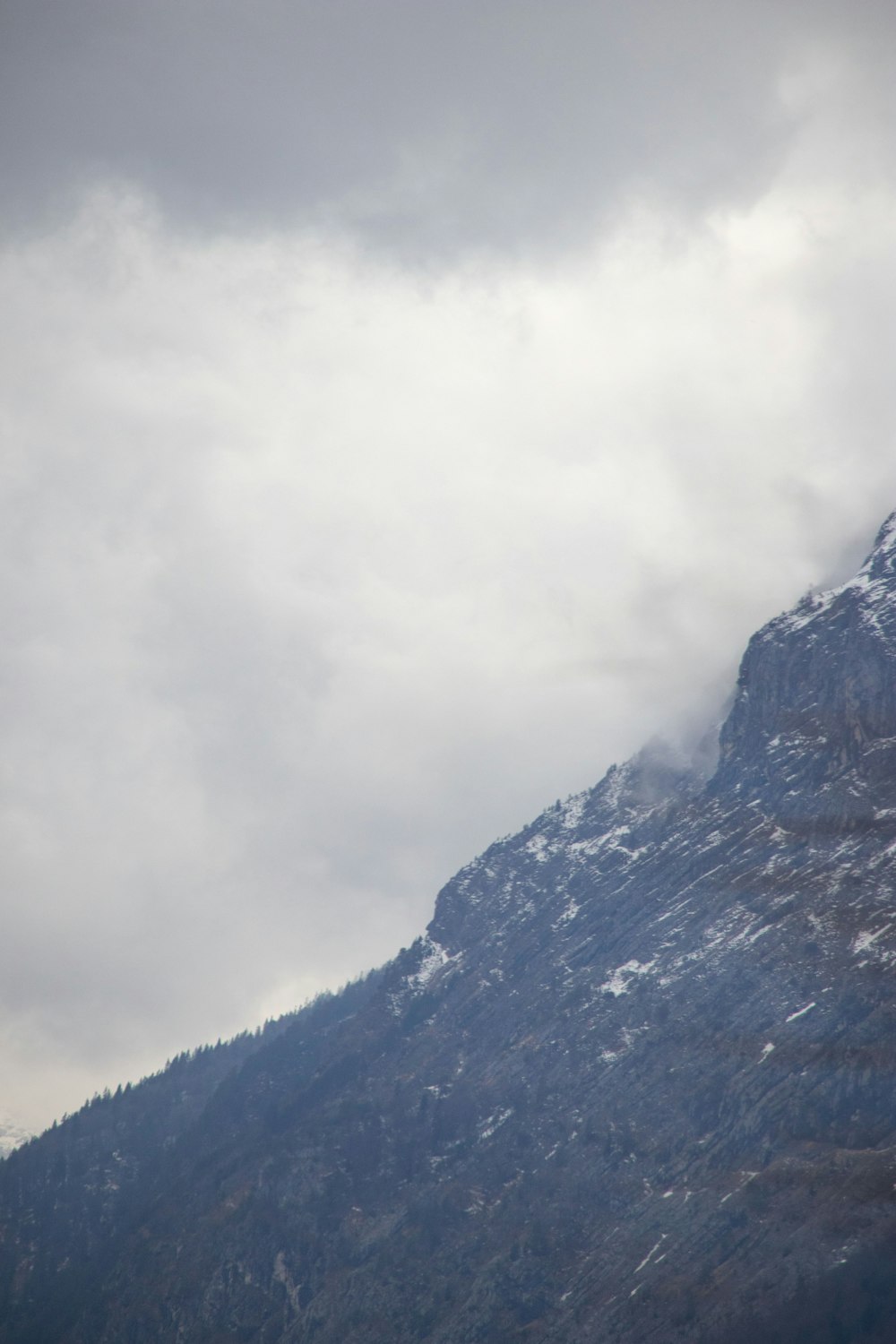 a snow covered mountain with a bird flying over it