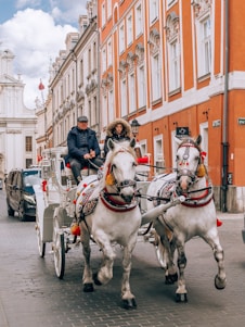 A horse-drawn carriage travels through a cobblestone street, flanked by elegant, old-style buildings with ornate facades. Two people are seated in the carriage, bundled up warmly. The horses wear decorative harnesses adorned with red tassels.