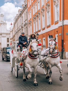 A traditional horse-drawn carriage moving through a scenic Flemish countryside.