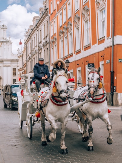 A horse-drawn carriage travels through a cobblestone street, flanked by elegant, old-style buildings with ornate facades. Two people are seated in the carriage, bundled up warmly. The horses wear decorative harnesses adorned with red tassels.