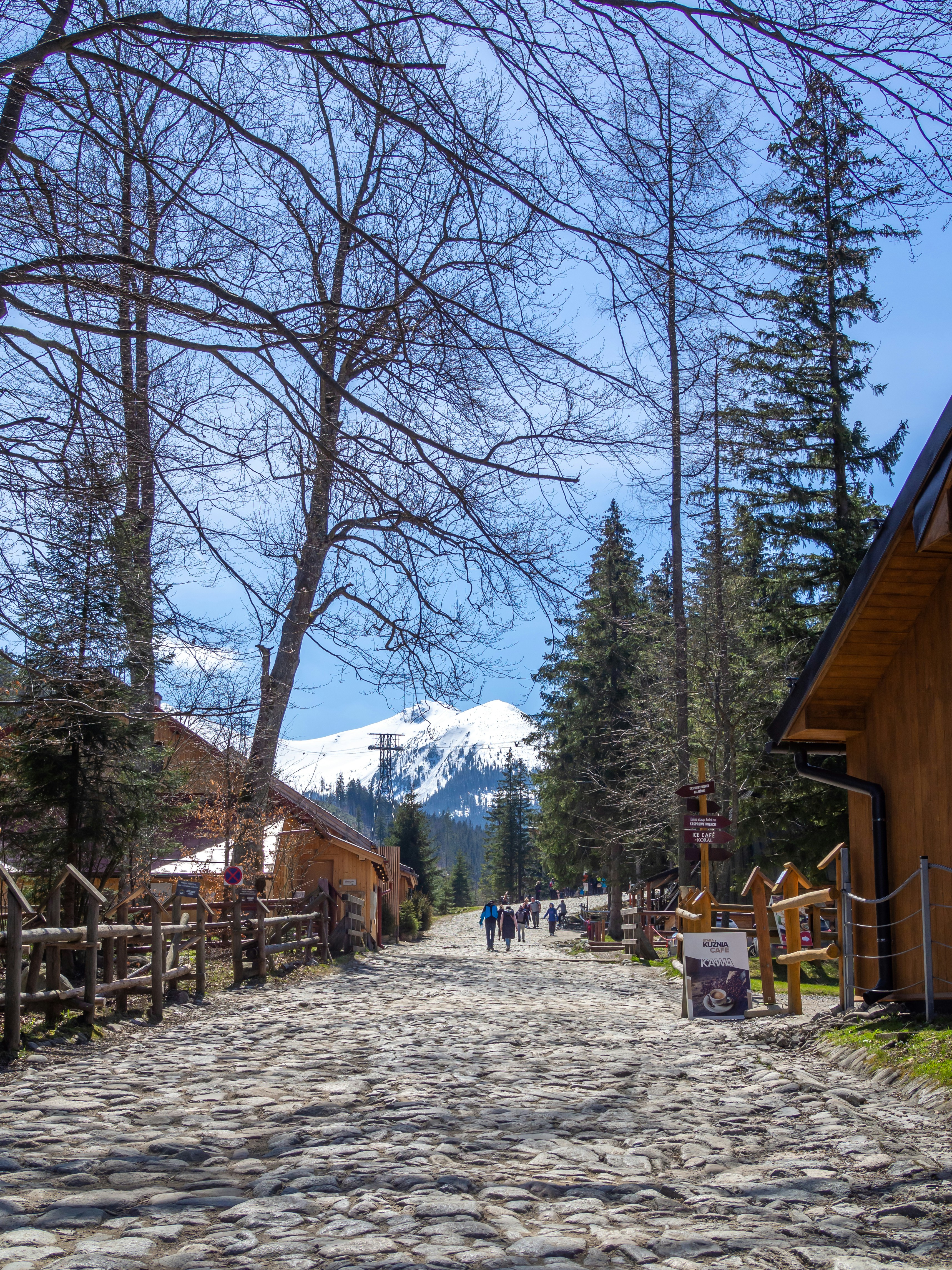 a cobblestone street with a mountain in the background