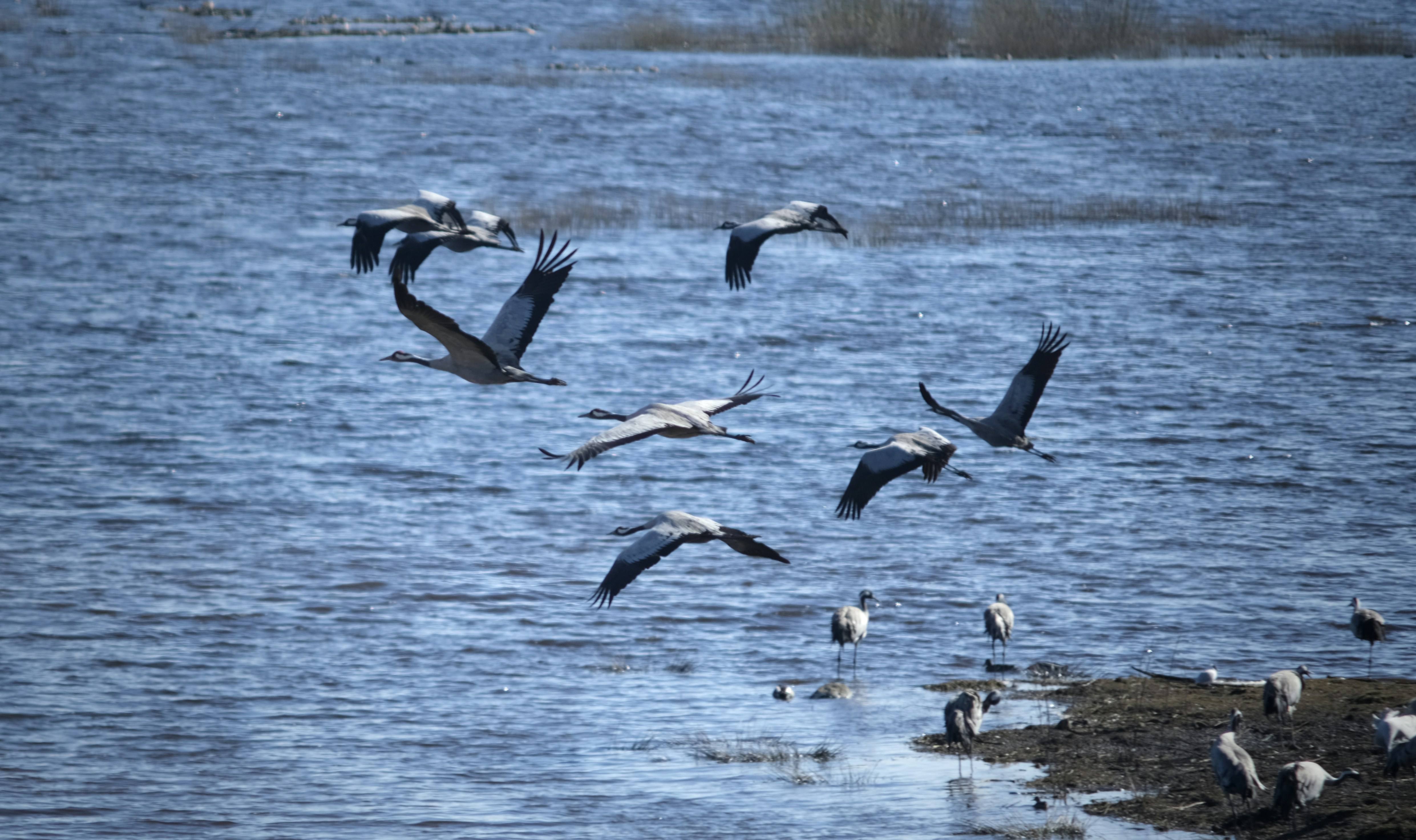 Photo by cameraobscura