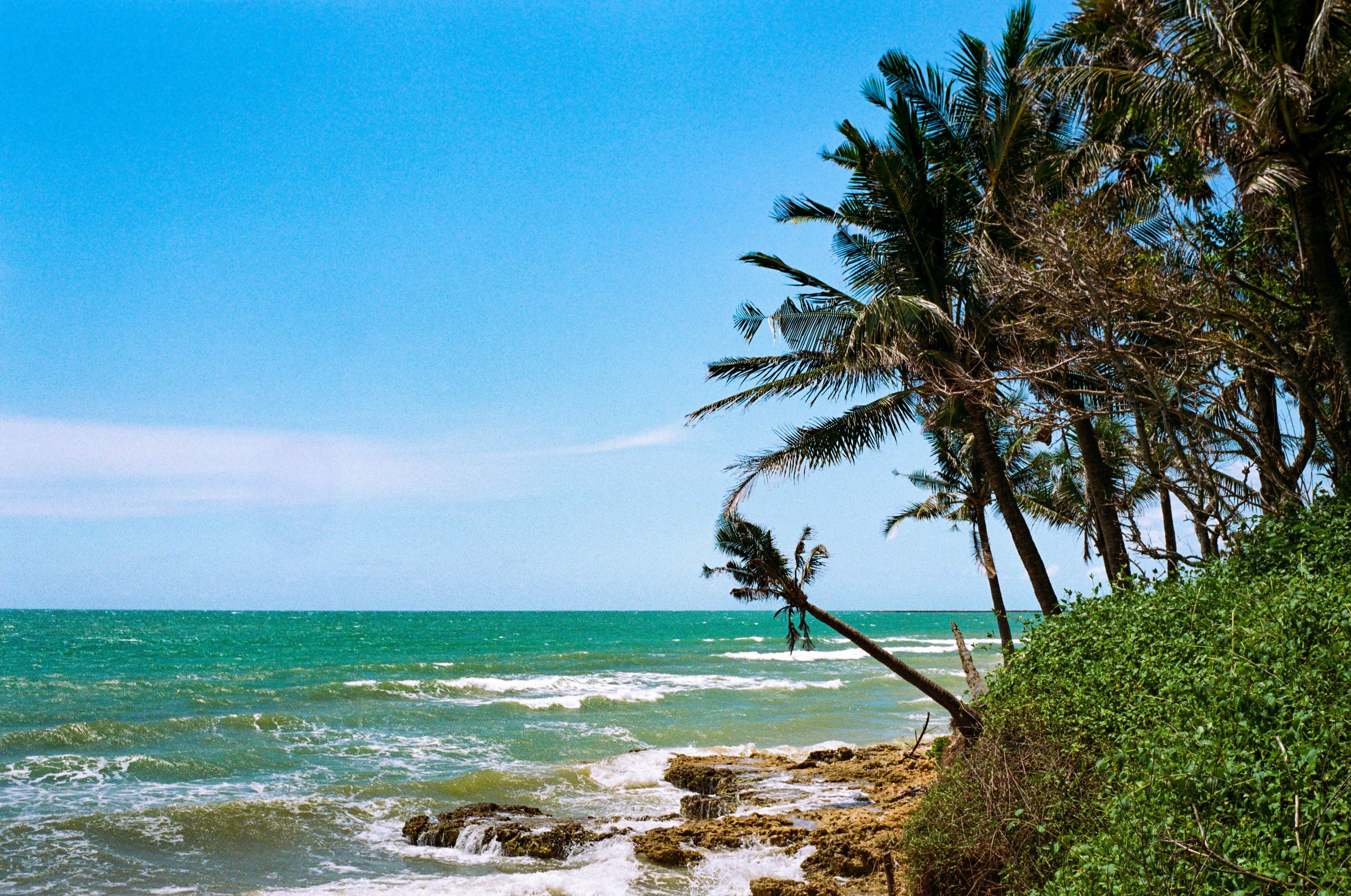 a view of the ocean with palm trees in the foreground, 