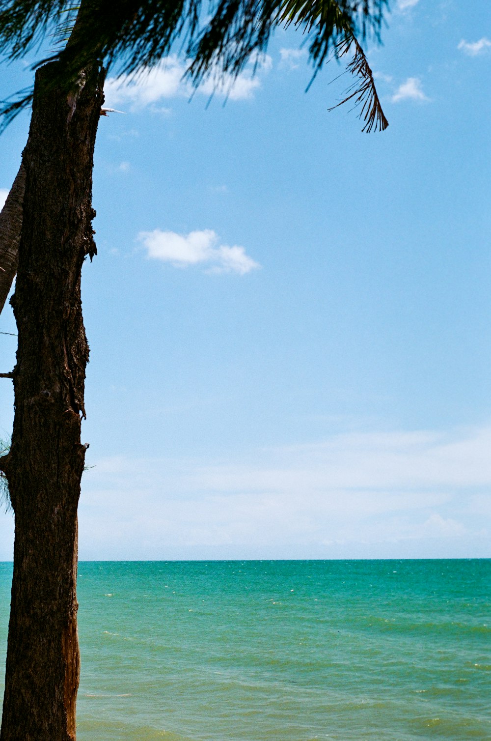 a view of a body of water from a beach