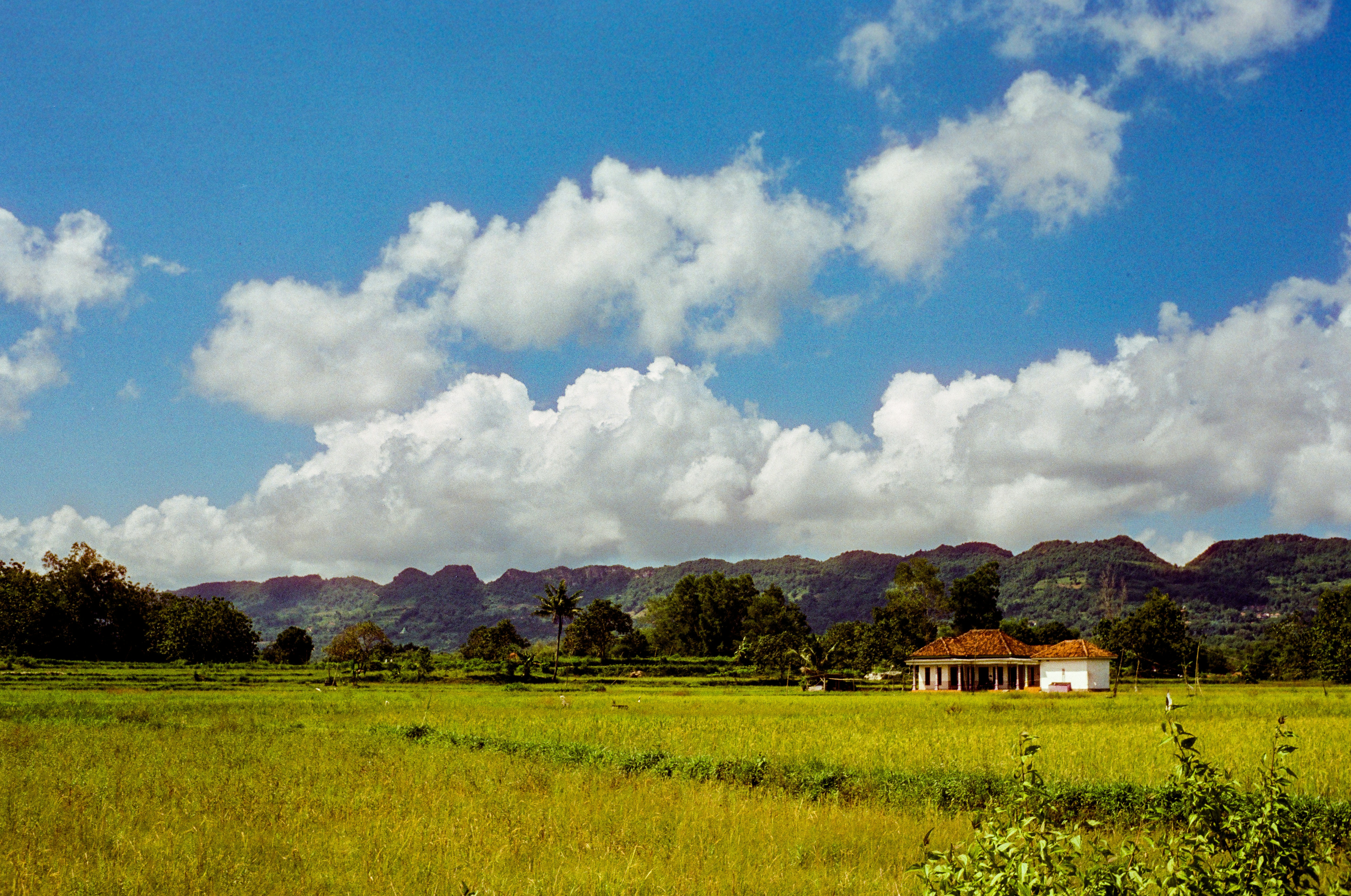 Photo by annoying_salman