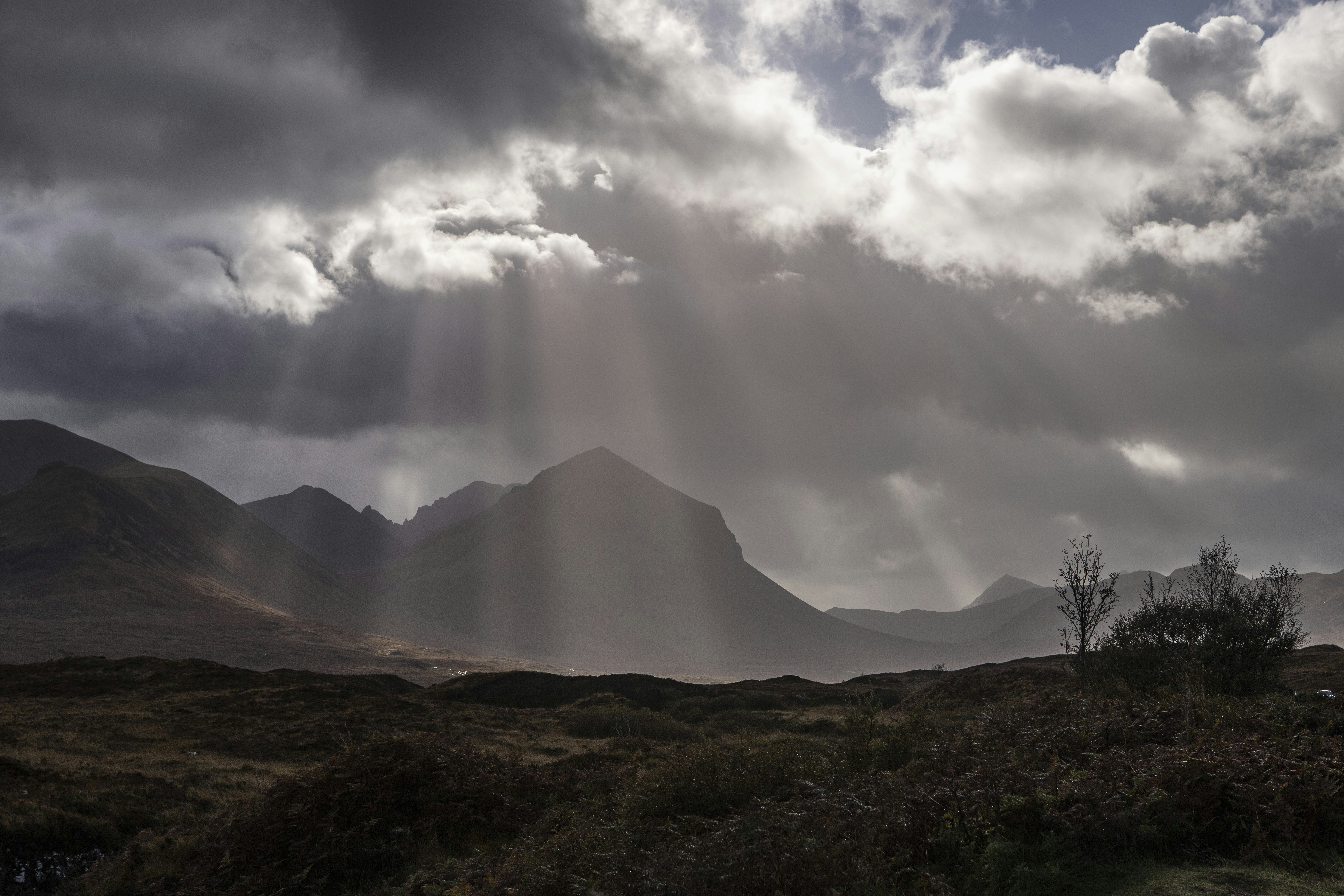 Photo by jddartphotographer