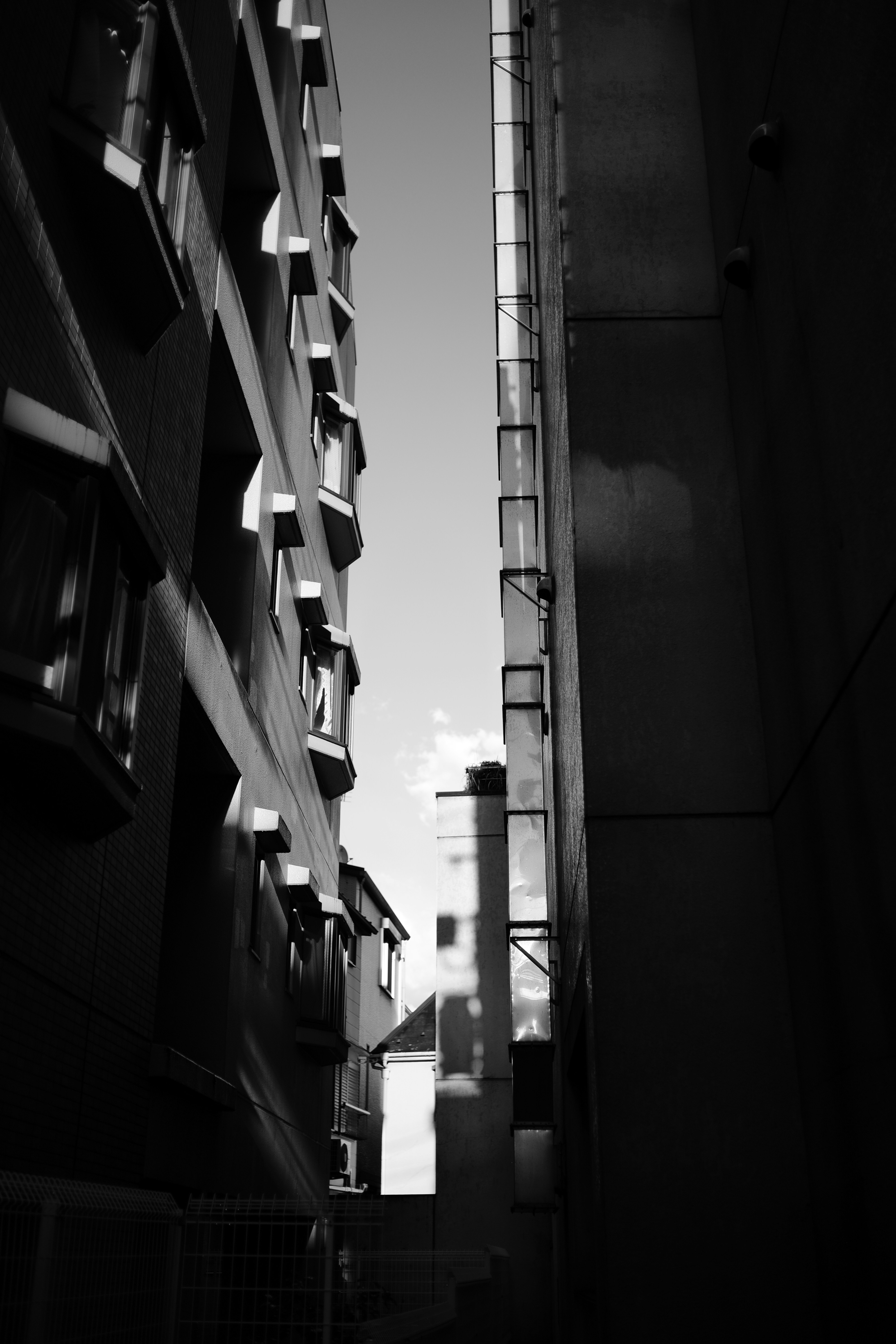 Photo by kickthebutt