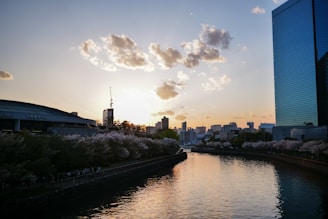 A serene river flowing through an urban area during sunset, with cherry blossoms lining the banks. The skyline features modern buildings, including a distinctive blue glass skyscraper and a domed structure marked as Osaka Hall. Light clouds scatter the sky, and the sun is partially hidden behind the cityscape, casting a warm glow.