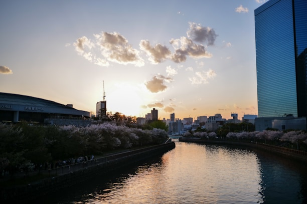 A serene river flowing through an urban area during sunset, with cherry blossoms lining the banks. The skyline features modern buildings, including a distinctive blue glass skyscraper and a domed structure marked as Osaka Hall. Light clouds scatter the sky, and the sun is partially hidden behind the cityscape, casting a warm glow.