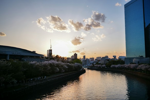 A serene river flowing through an urban area during sunset, with cherry blossoms lining the banks. The skyline features modern buildings, including a distinctive blue glass skyscraper and a domed structure marked as Osaka Hall. Light clouds scatter the sky, and the sun is partially hidden behind the cityscape, casting a warm glow.