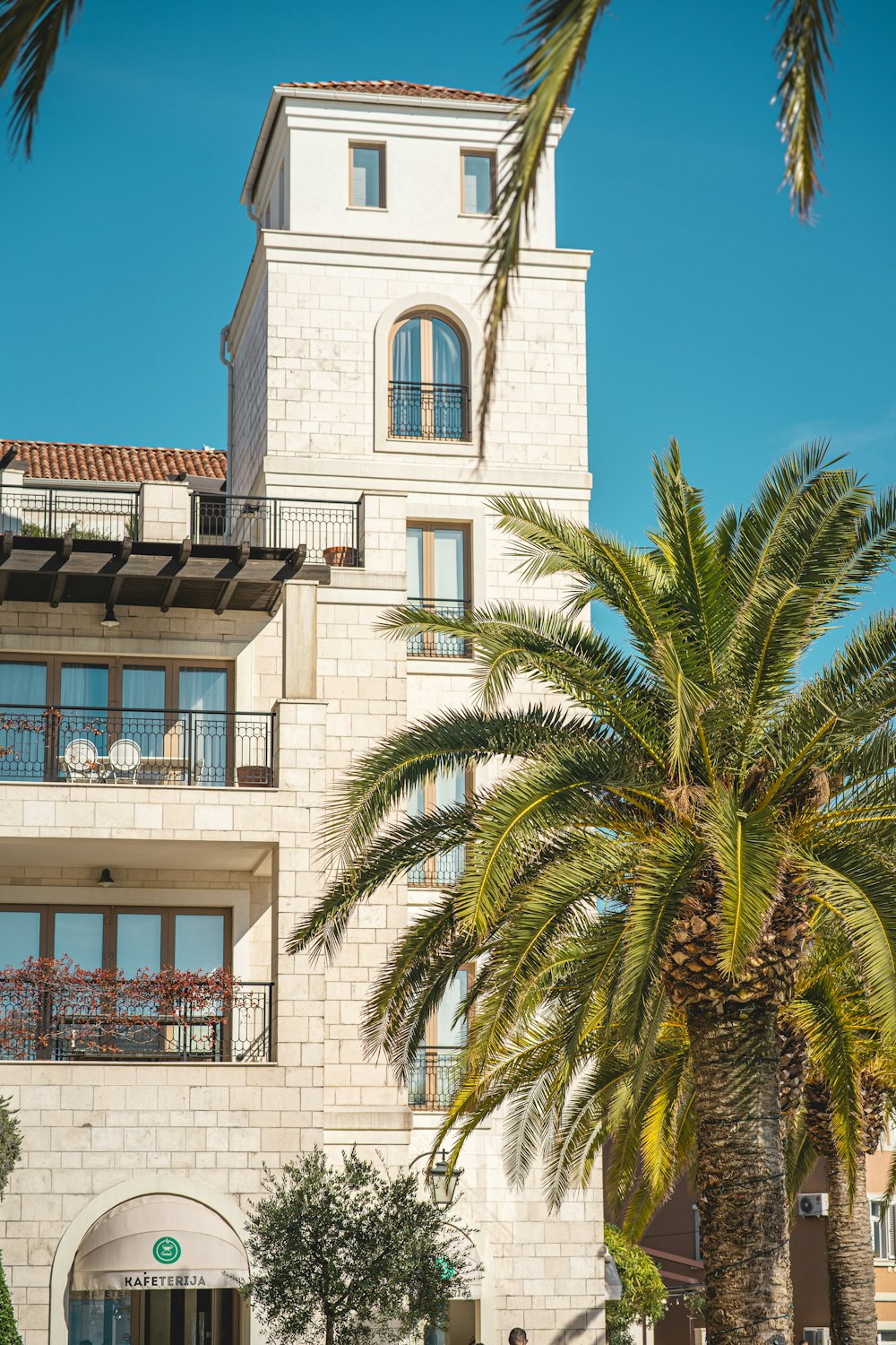 a tall white building with a palm tree in front of it