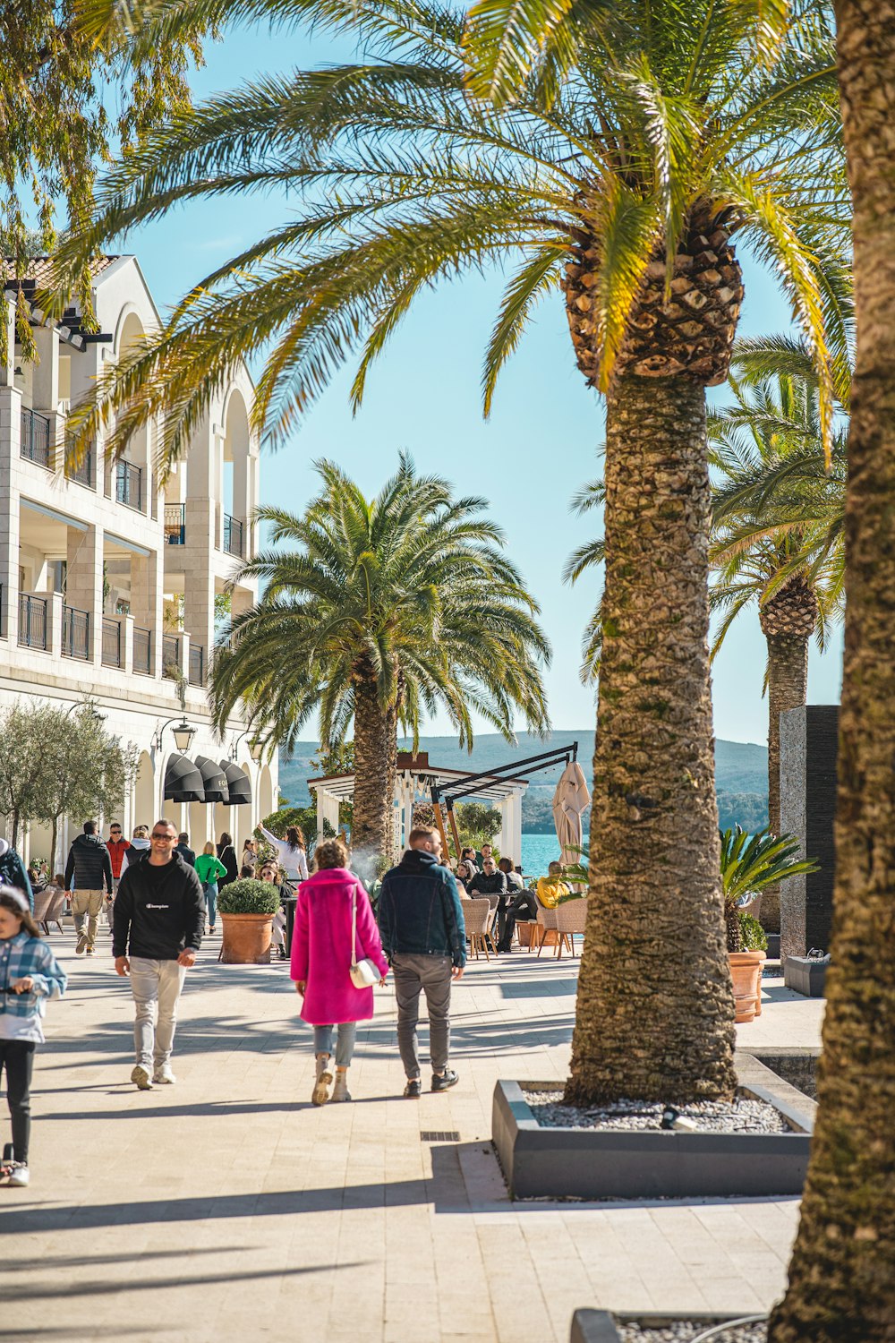 a group of people walking down a sidewalk next to palm trees