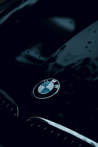 Paint Protection