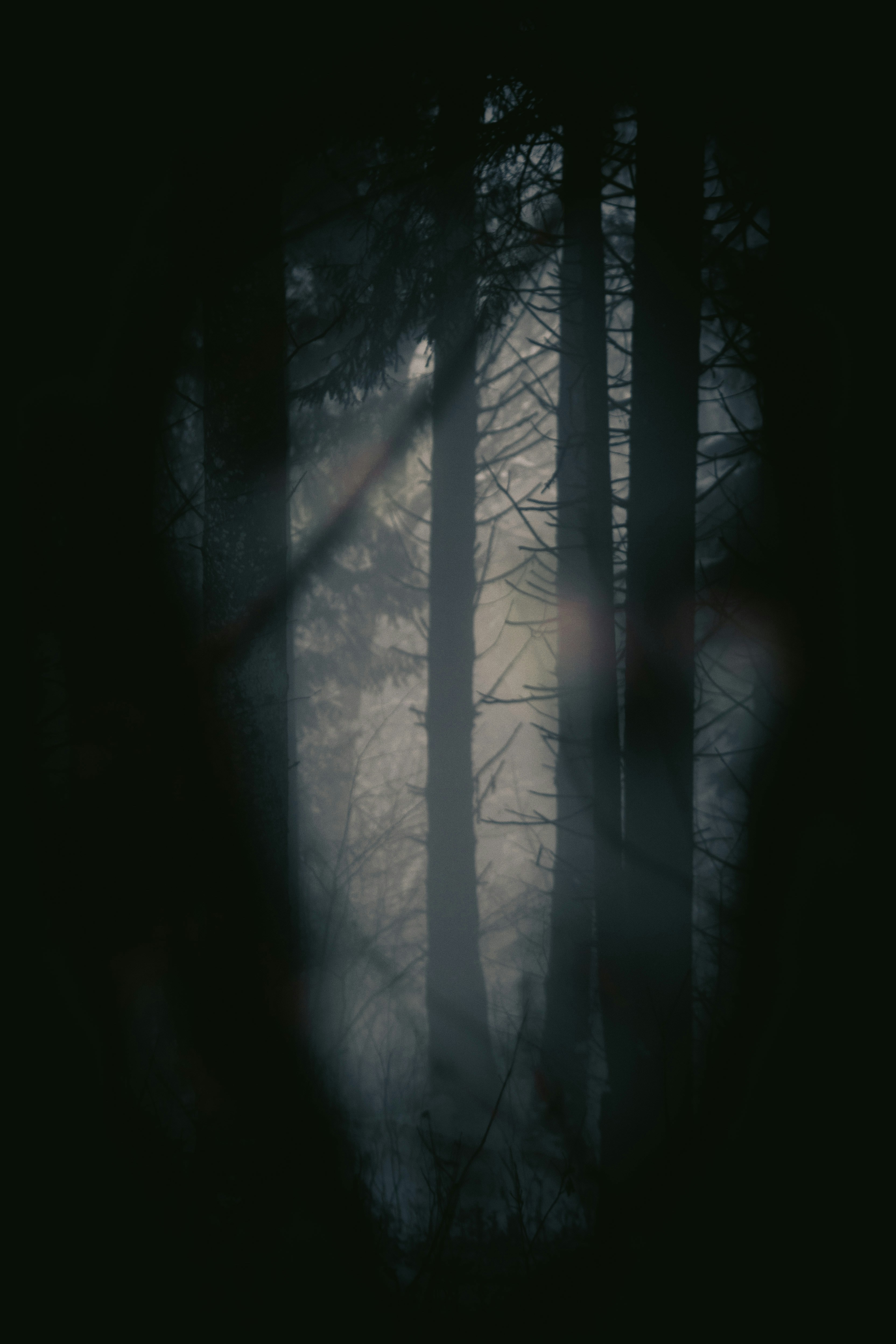 Photo by kellerchewning