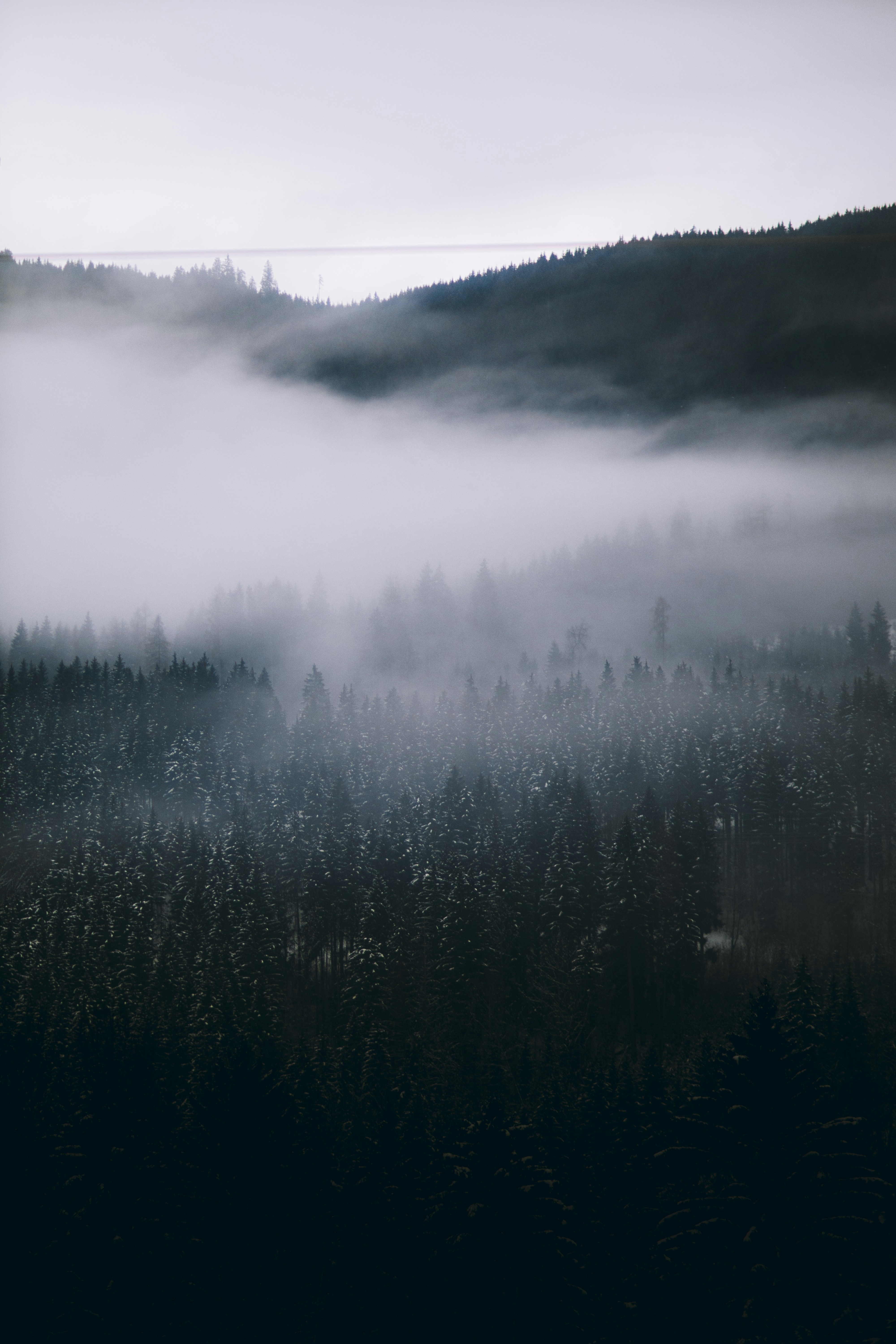 Photo by kellerchewning