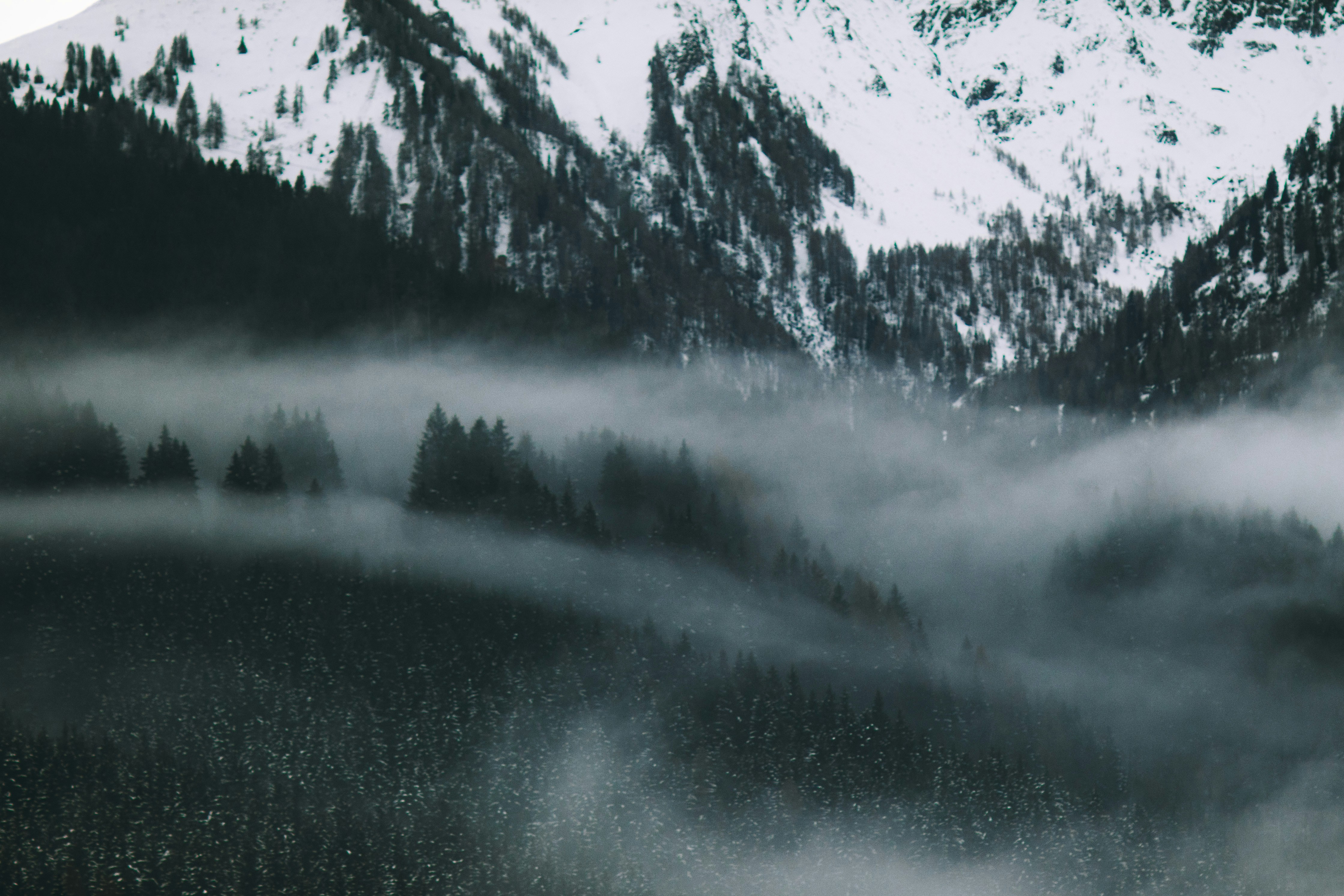 Photo by kellerchewning