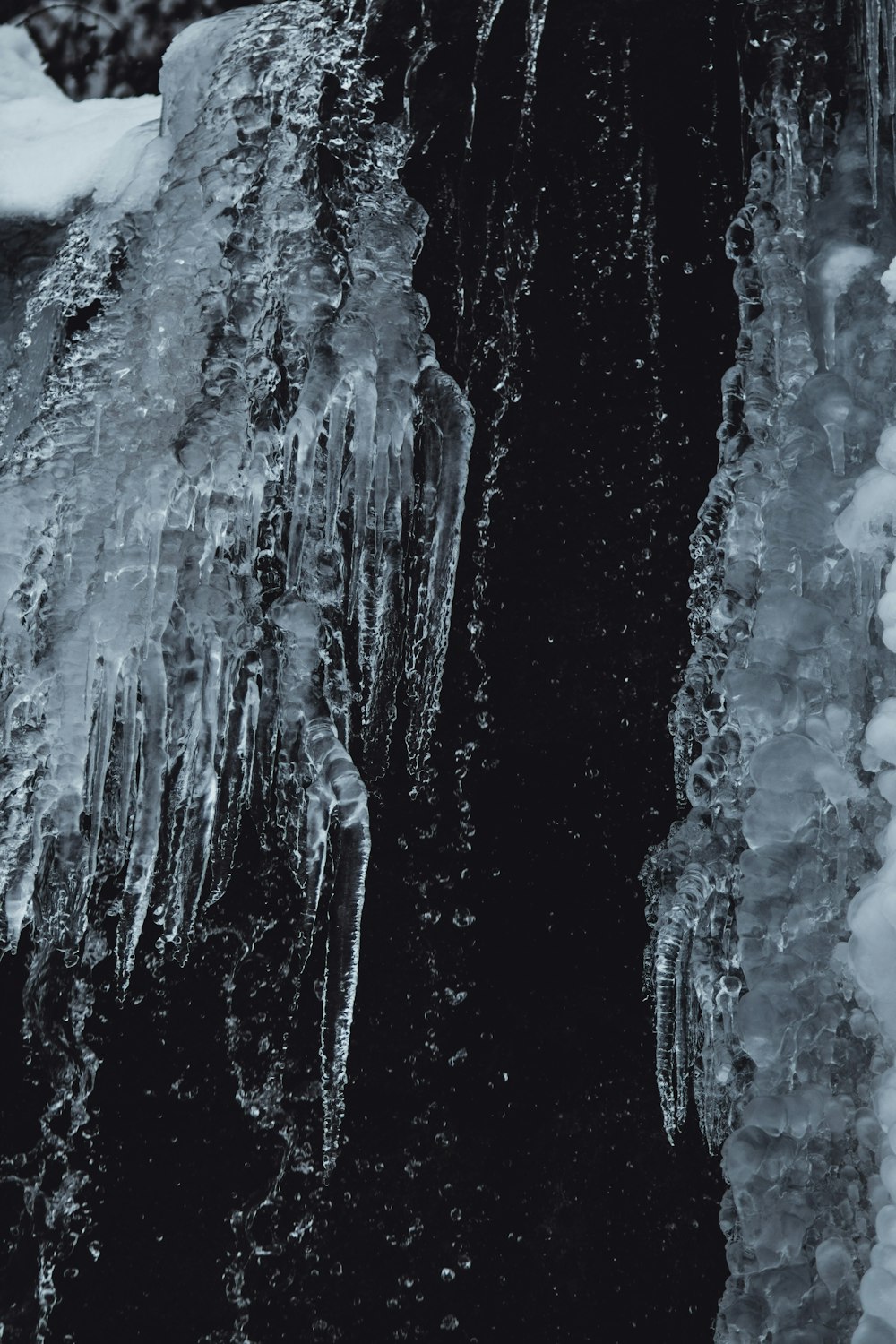 a black and white photo of icicles and snow