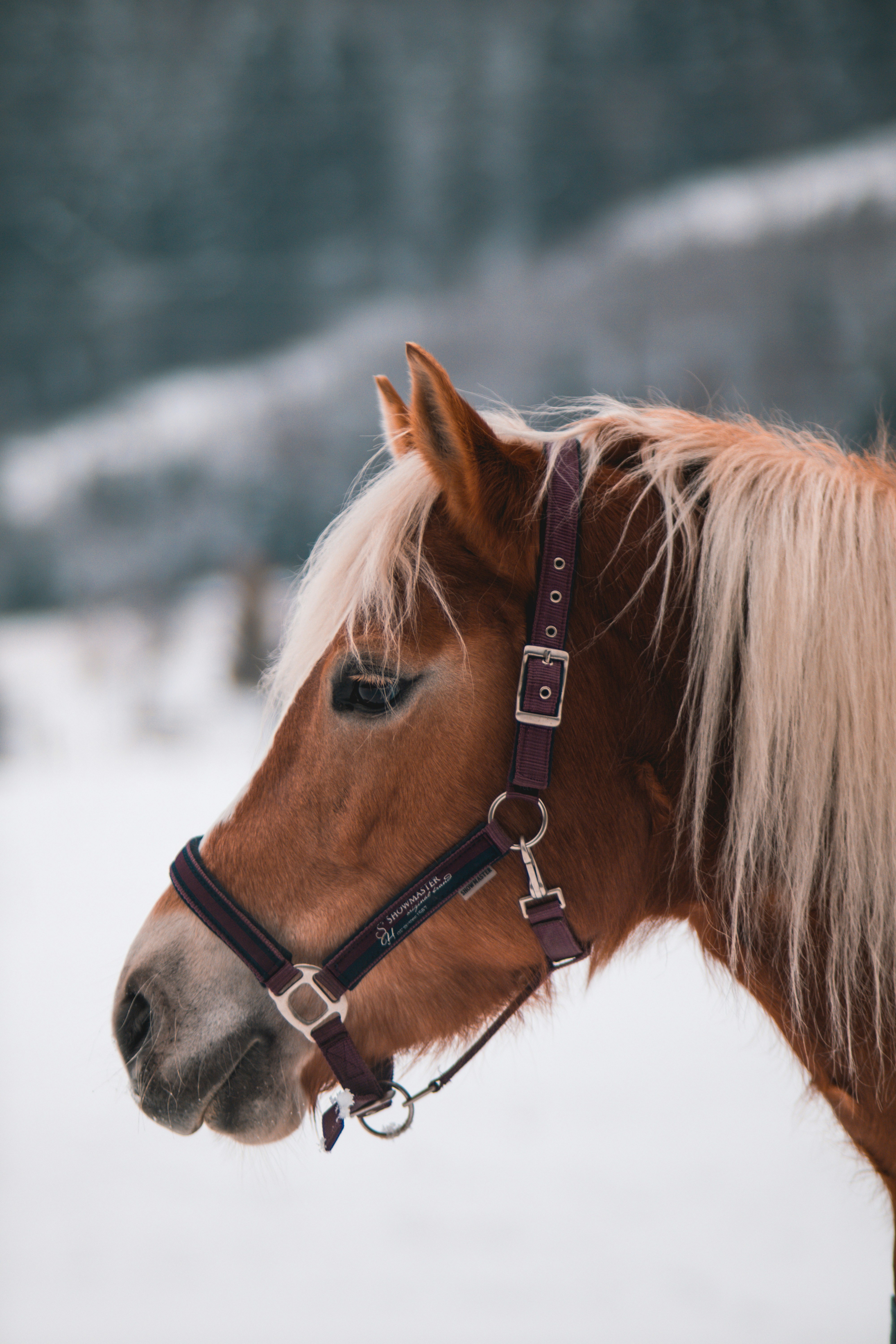 Photo by kellerchewning