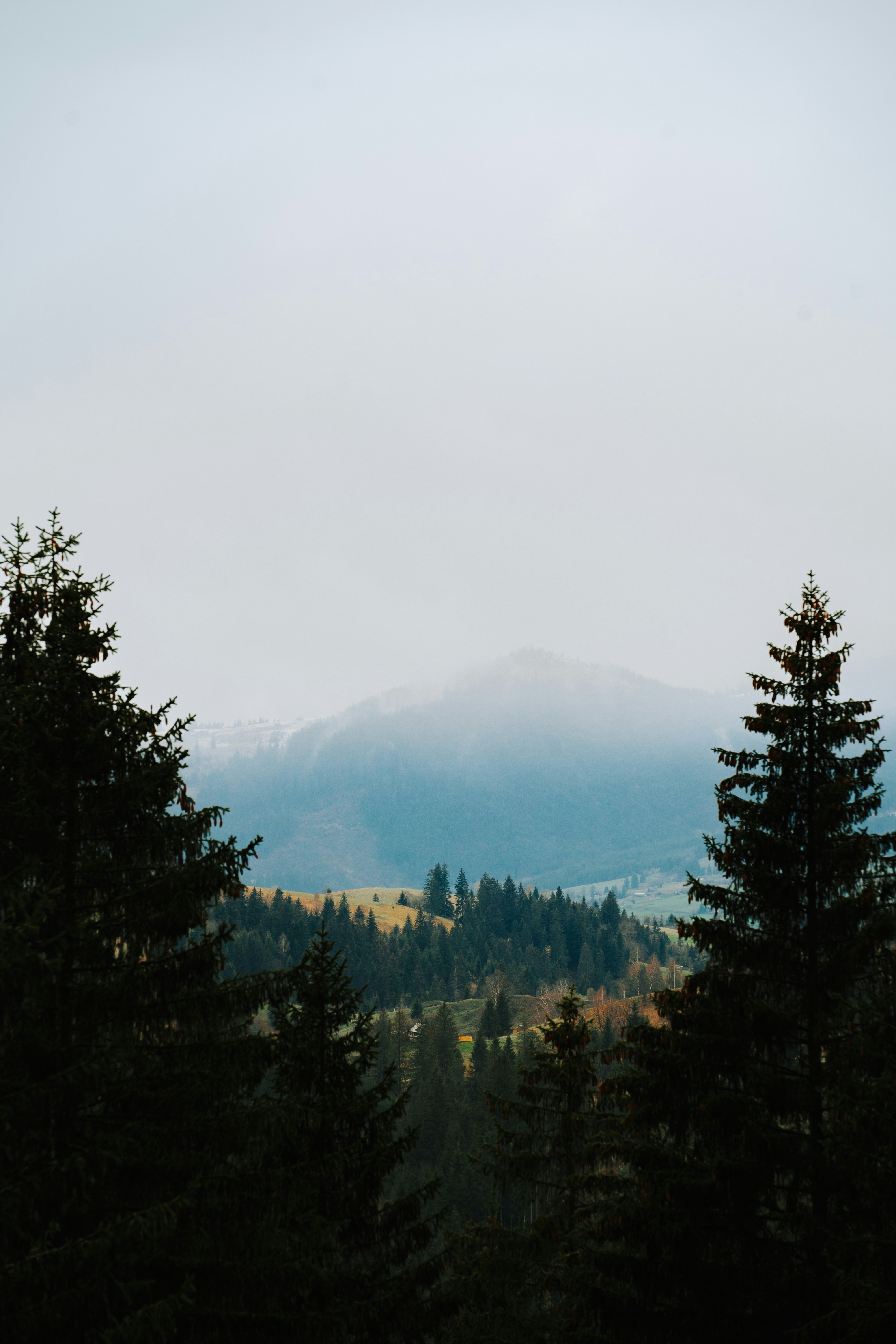 Photo by khodzinskyi