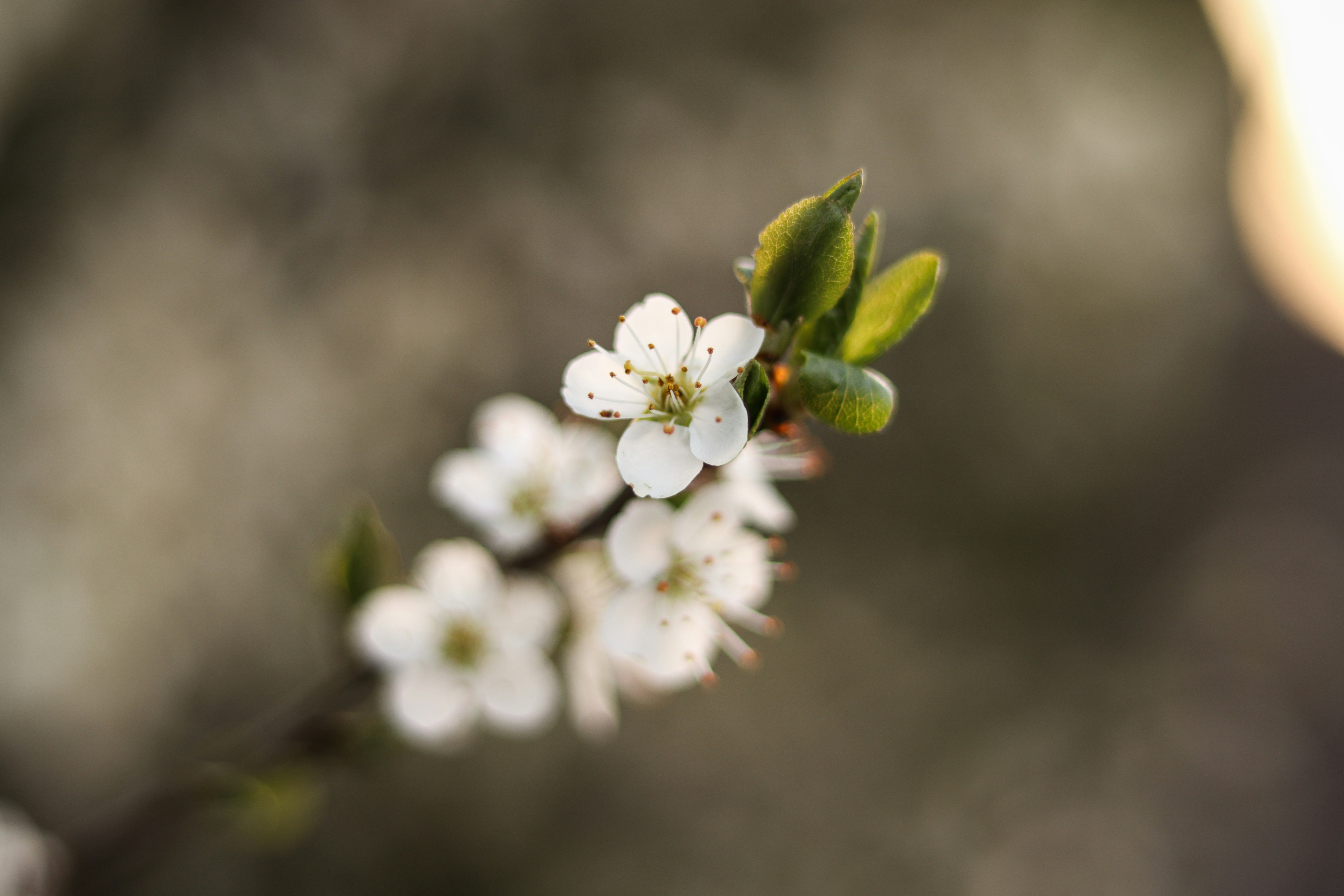 Photo by ruben_christen