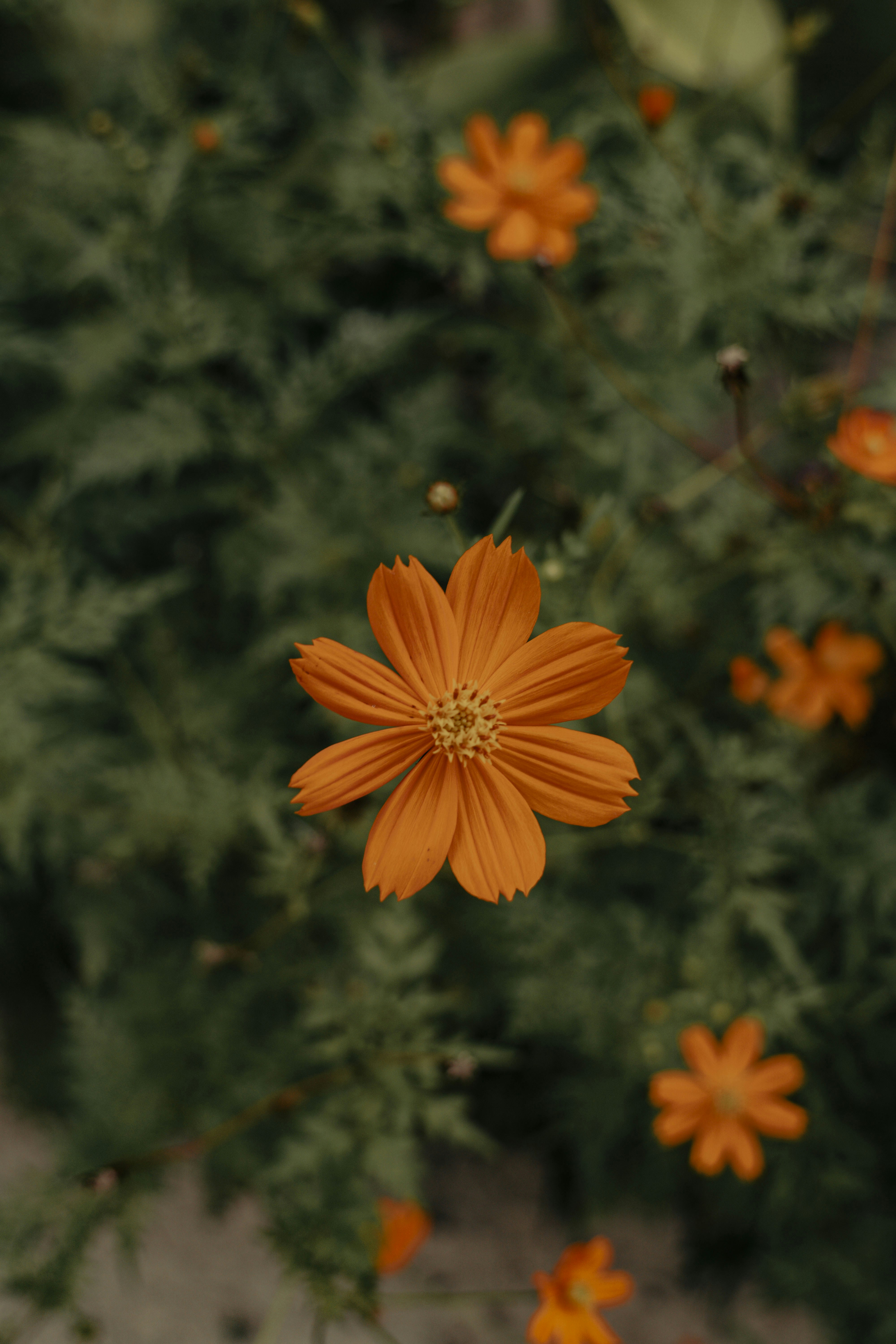 Photo by litochi_graphy