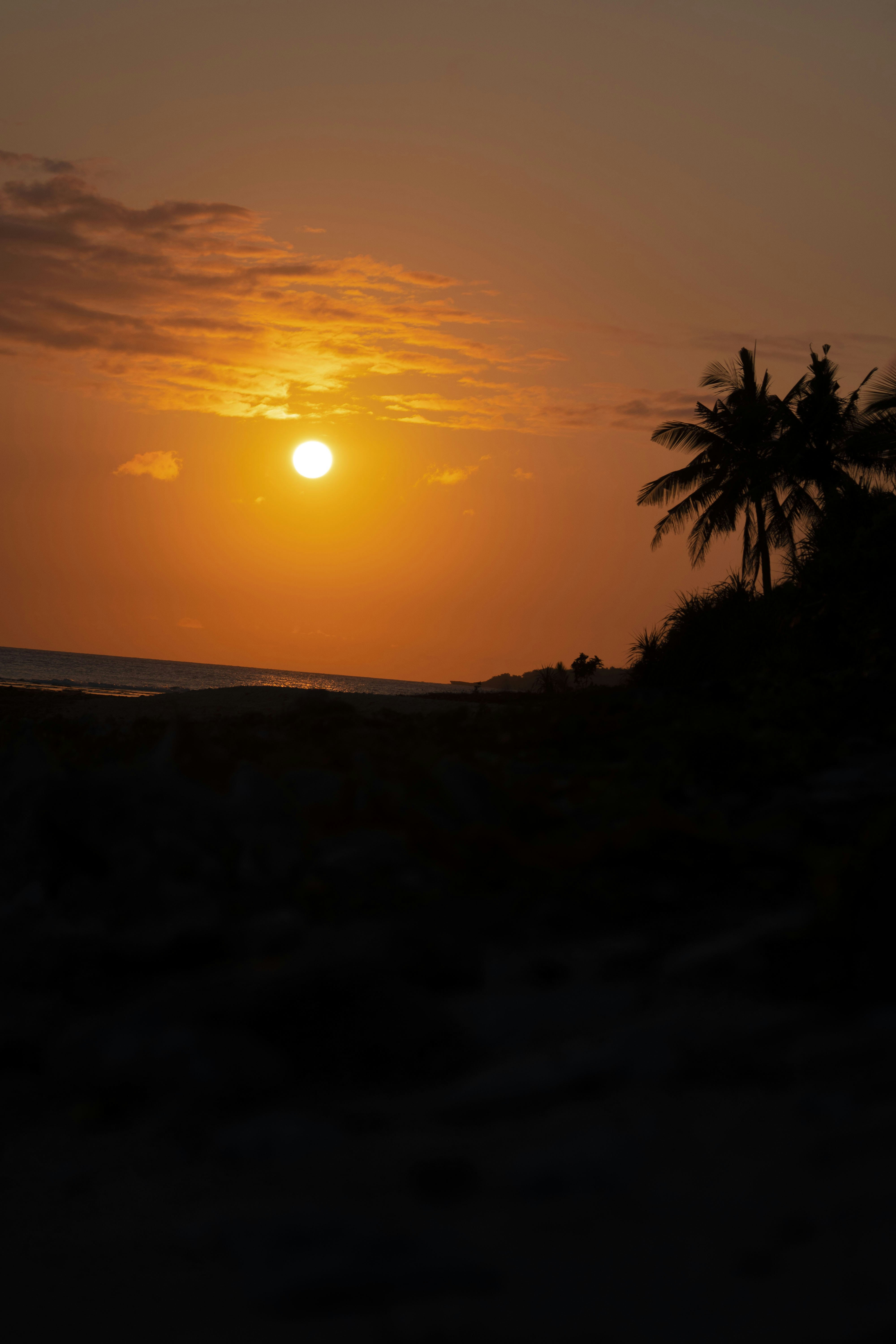 Angelito Catolos (@litochi_graphy) | Comunidade de fotos da Unsplash, image size:3000x4500