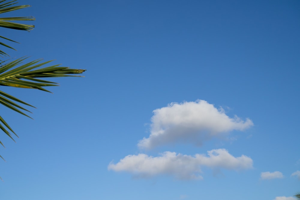 a white cloud is in the blue sky