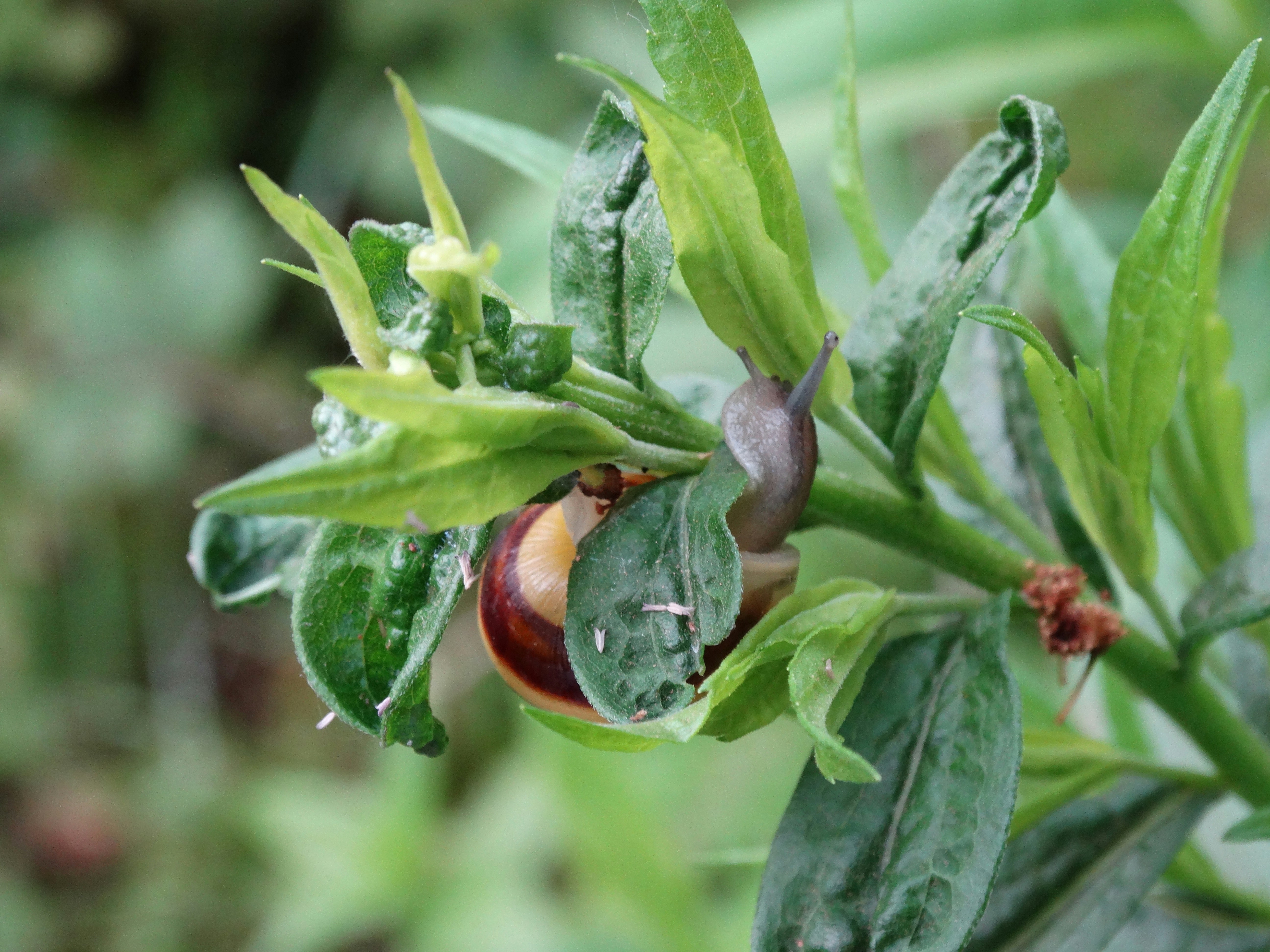 Photo by lismott2023