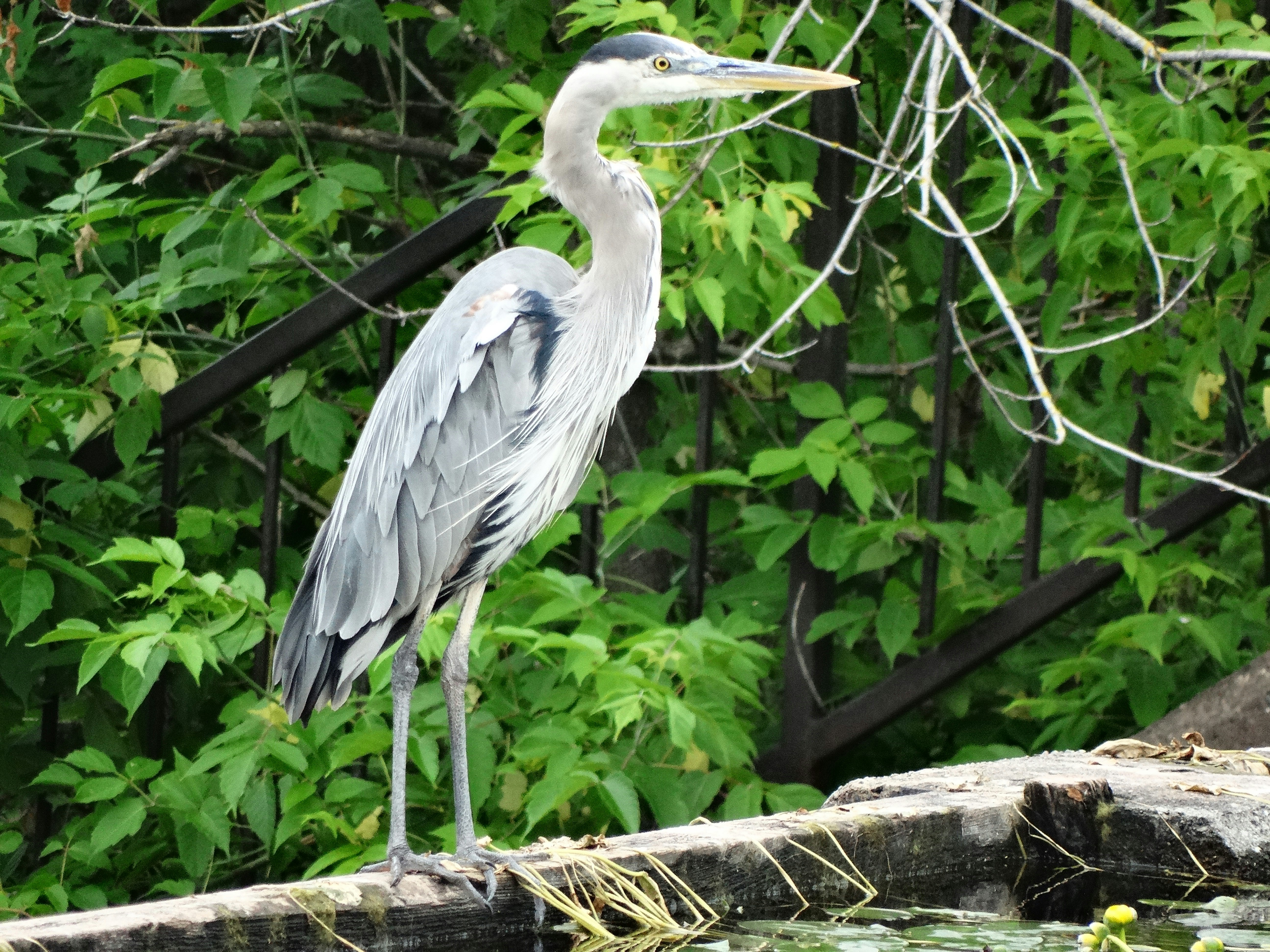 Photo by lismott2023